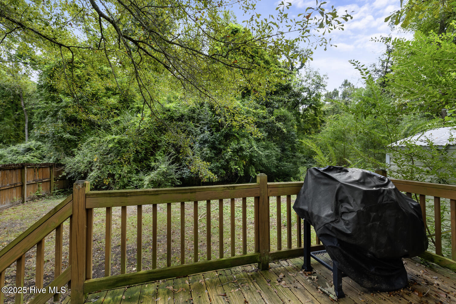 100533729 | Photo 23