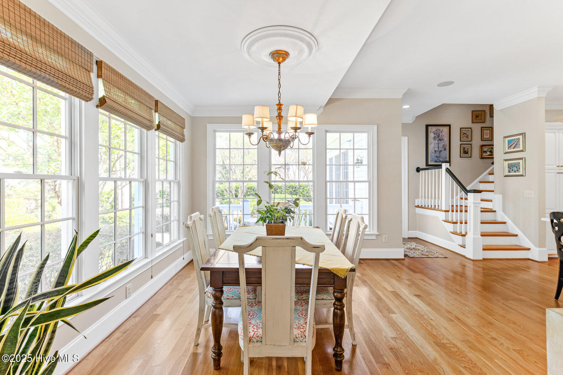 100535740 | Photo 13