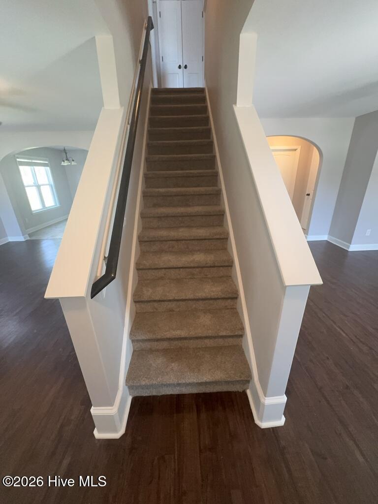 100561613 | Photo 18