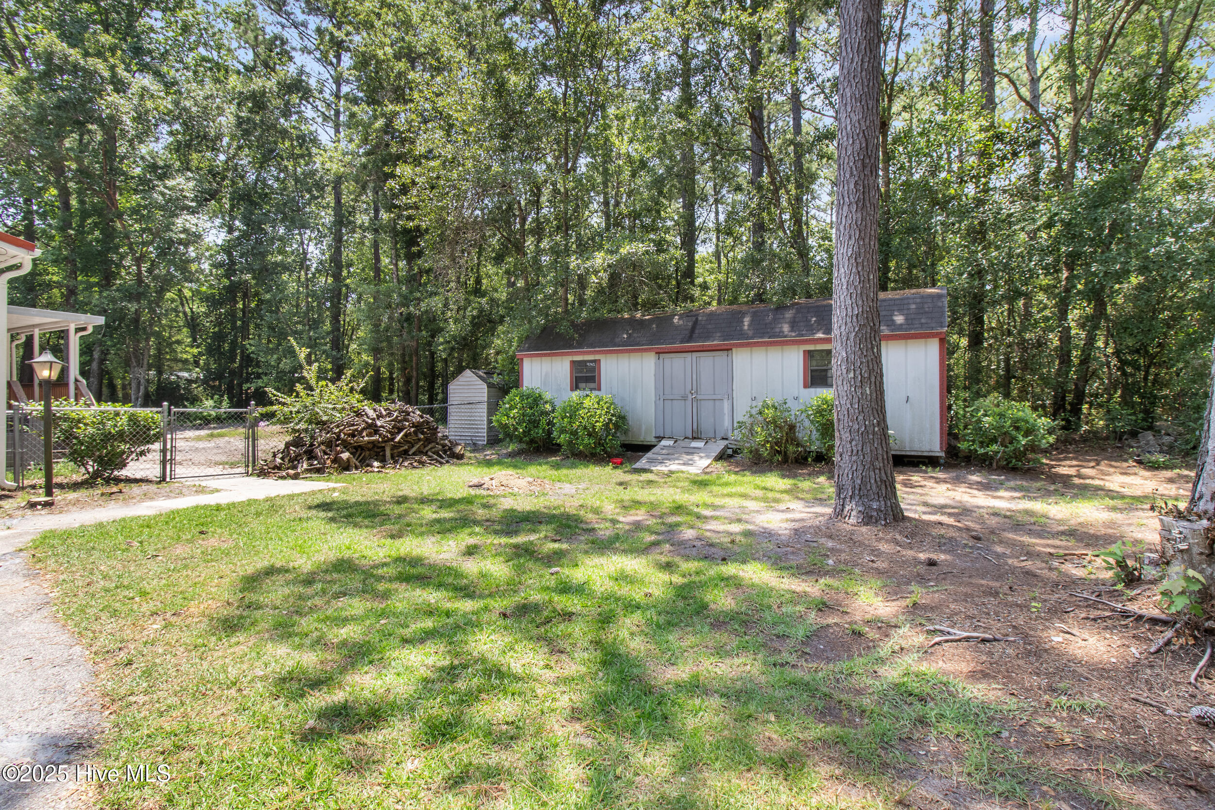 100515334 | Photo 48