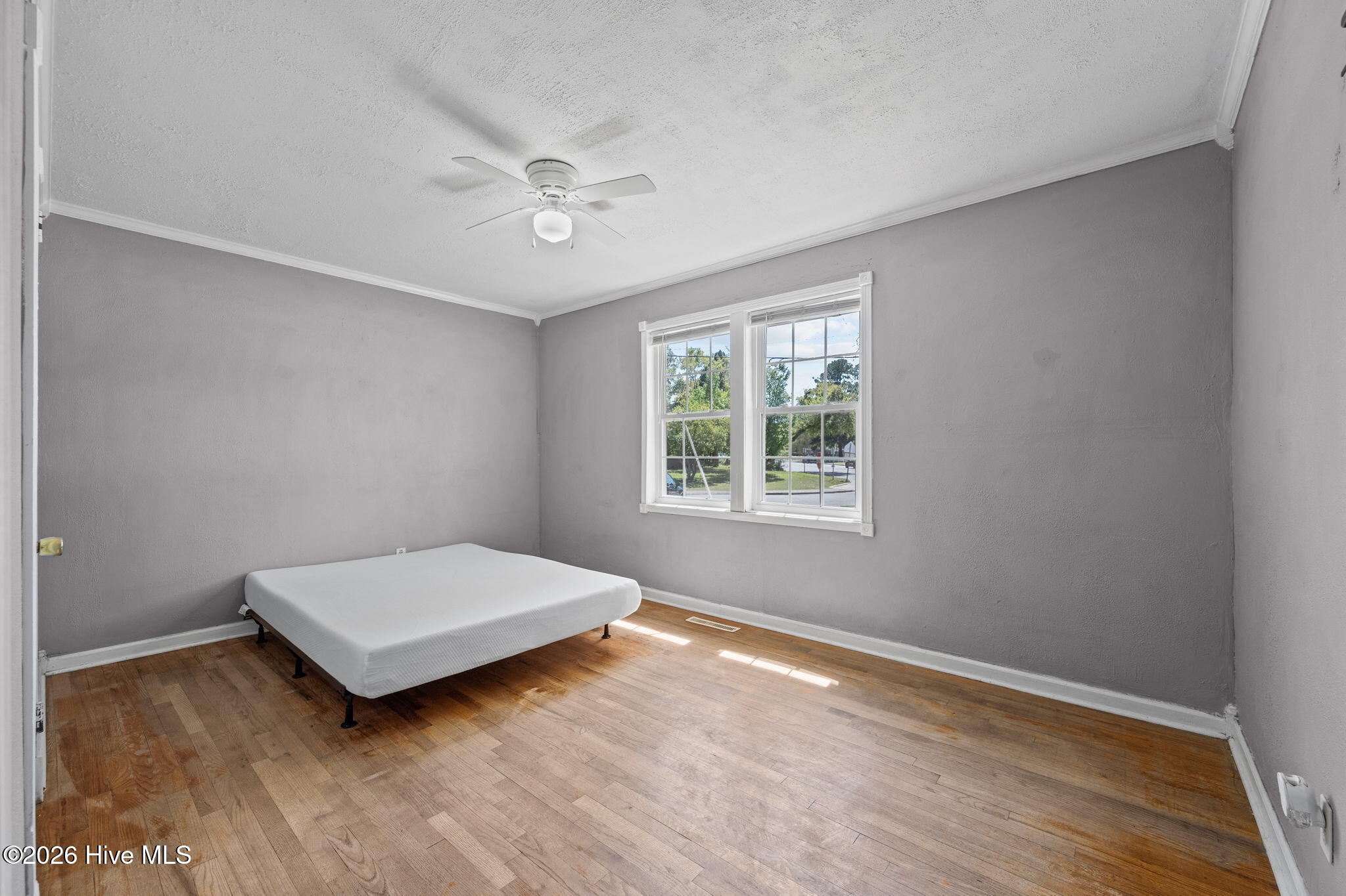 100562753 | Photo 24