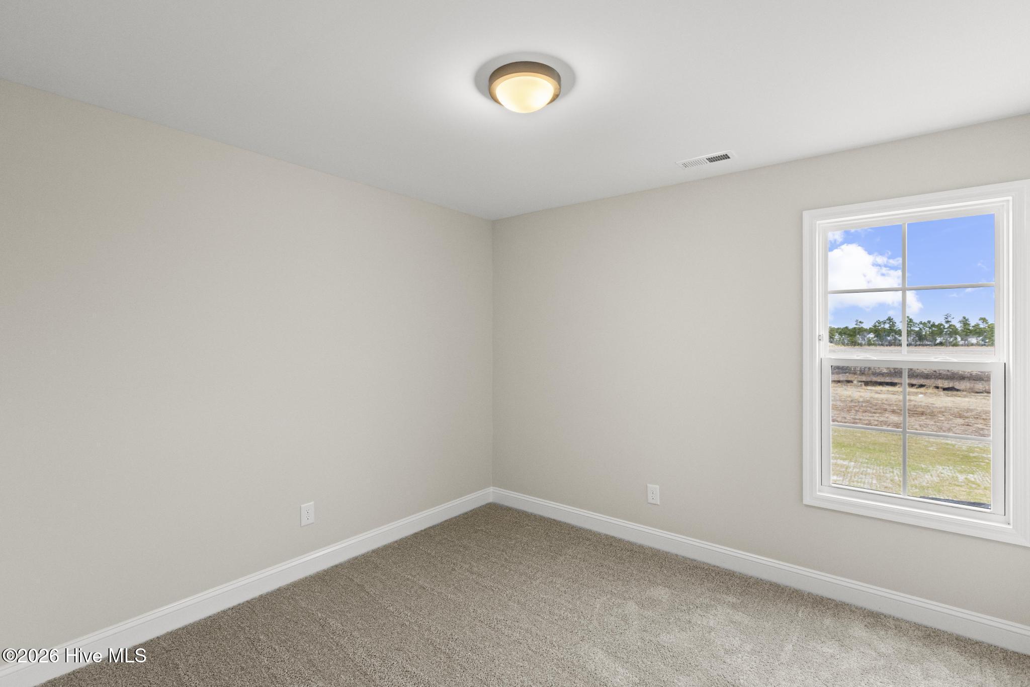 100516178 | Photo 22