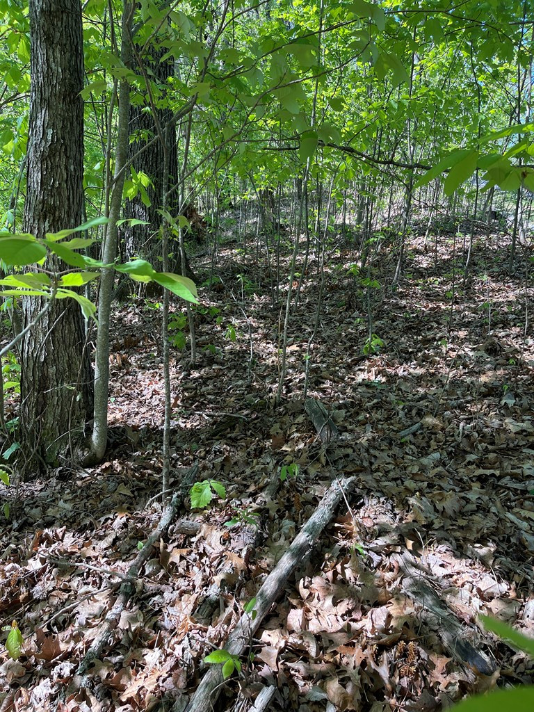 Exterior photo of Lot 11J Ash Branch View, Hayesville, NC 28904. MLS: 98544298