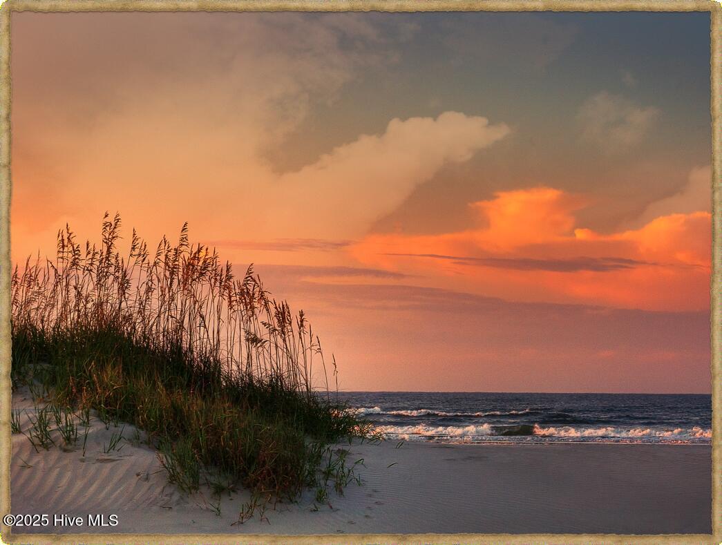 100524017 | Photo 25