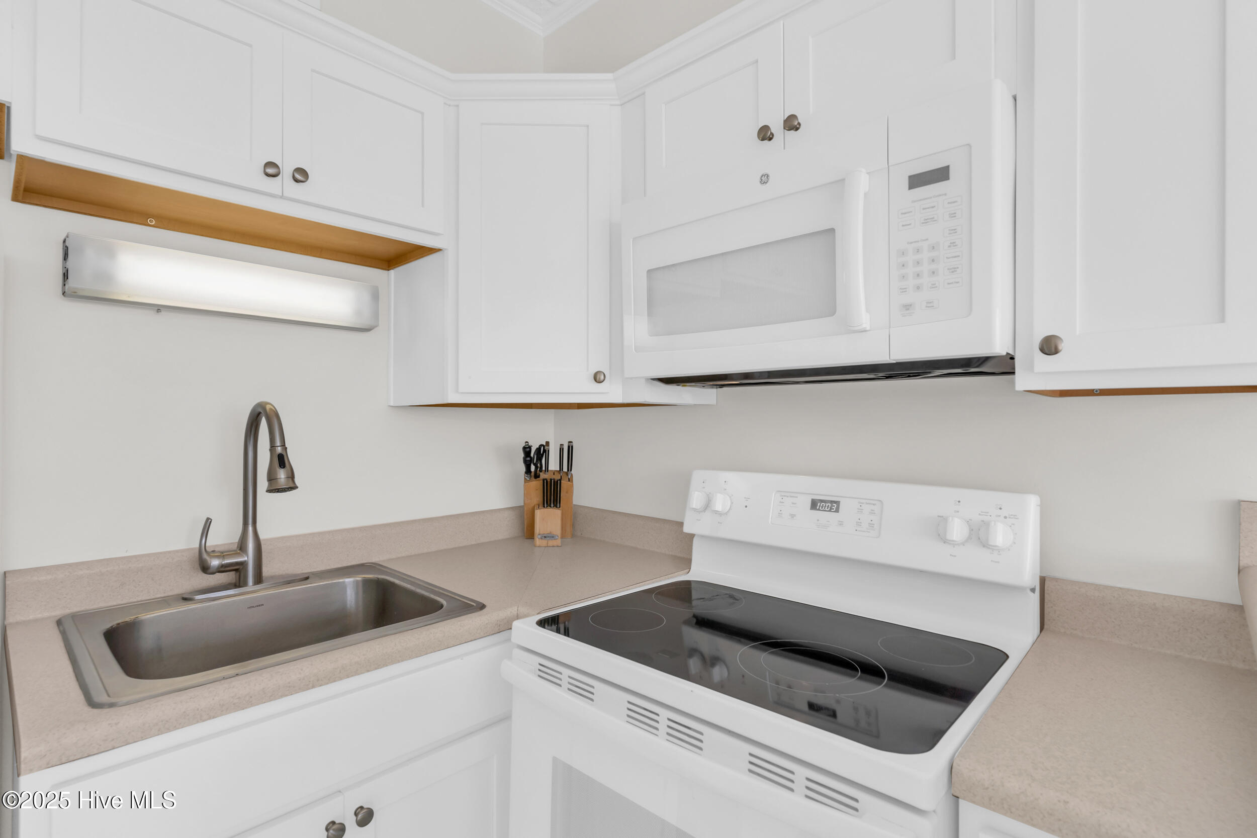 100516351 | Photo 11