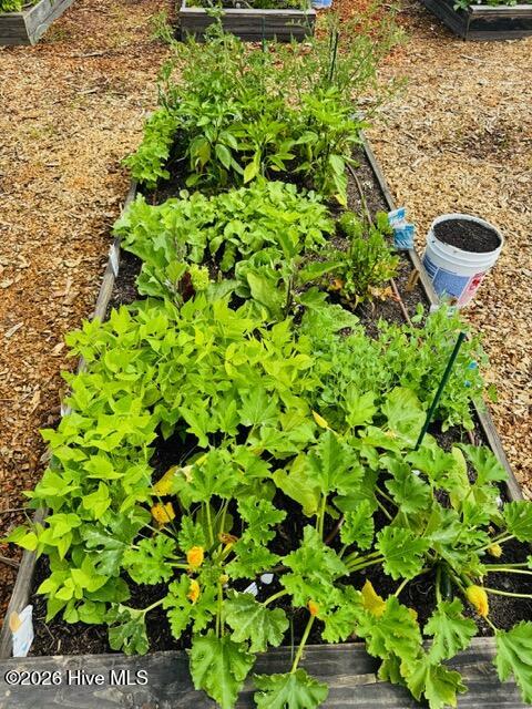 100561006 | Photo 37