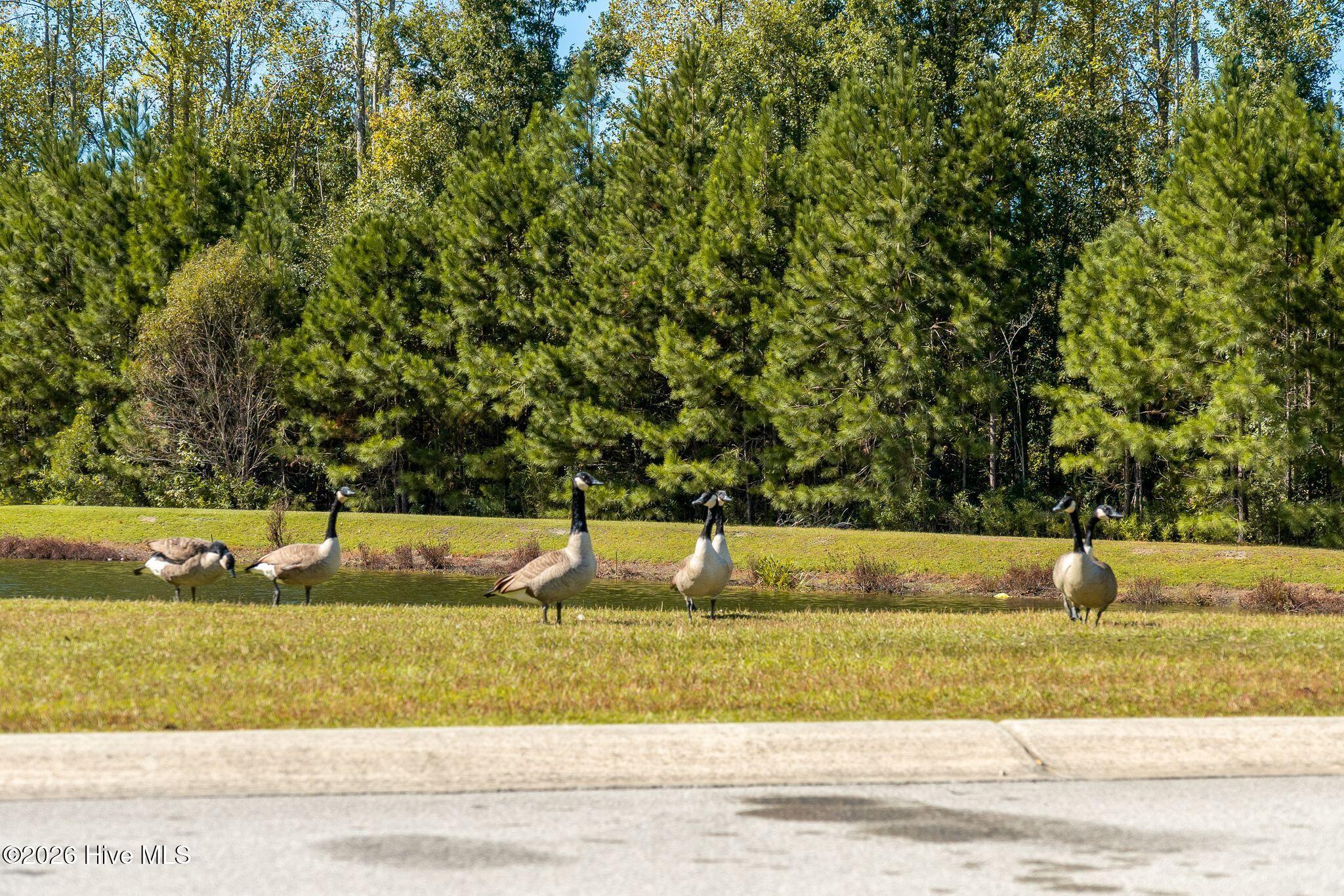 725 Regiment Road,Jacksonville