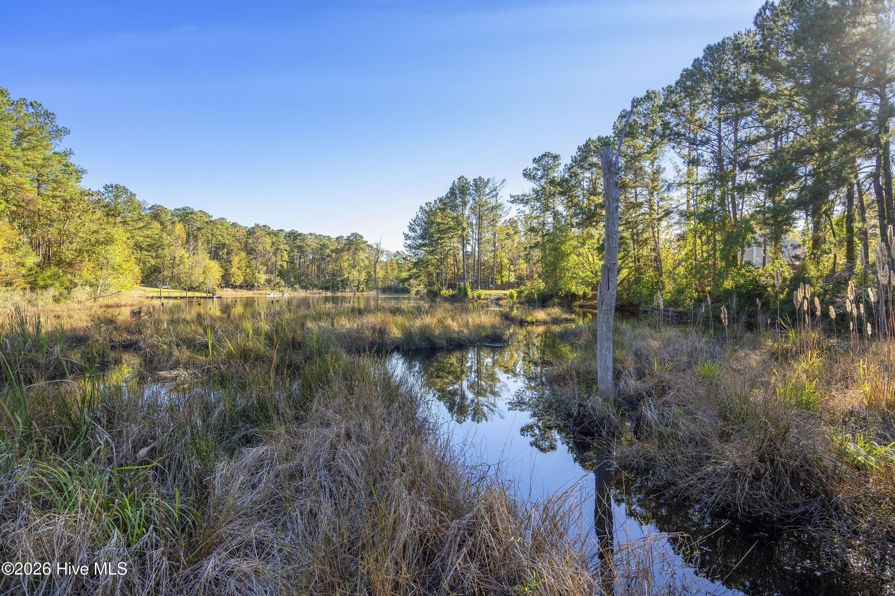 100569792 | Photo 71