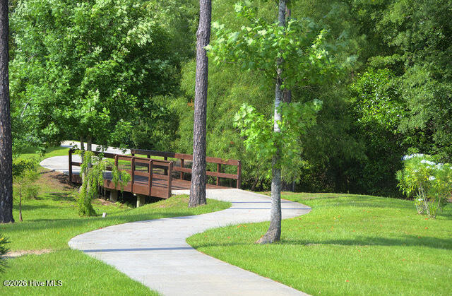 100554339 | Photo 24