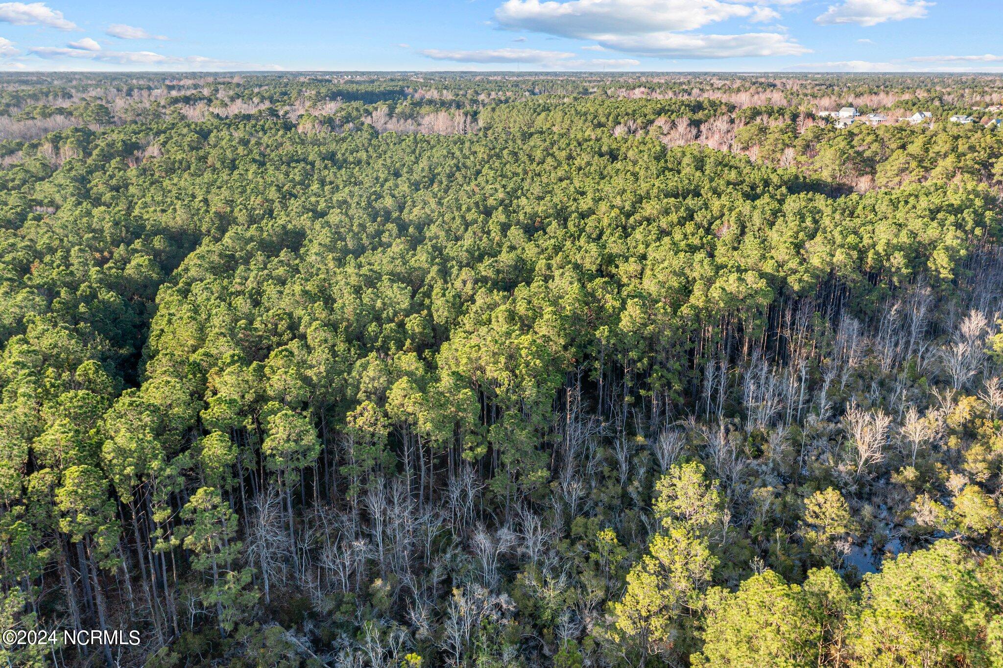 100432193 | Photo 18