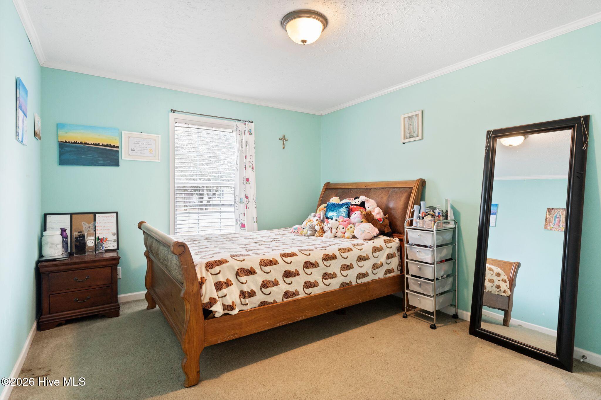 100558385 | Photo 33