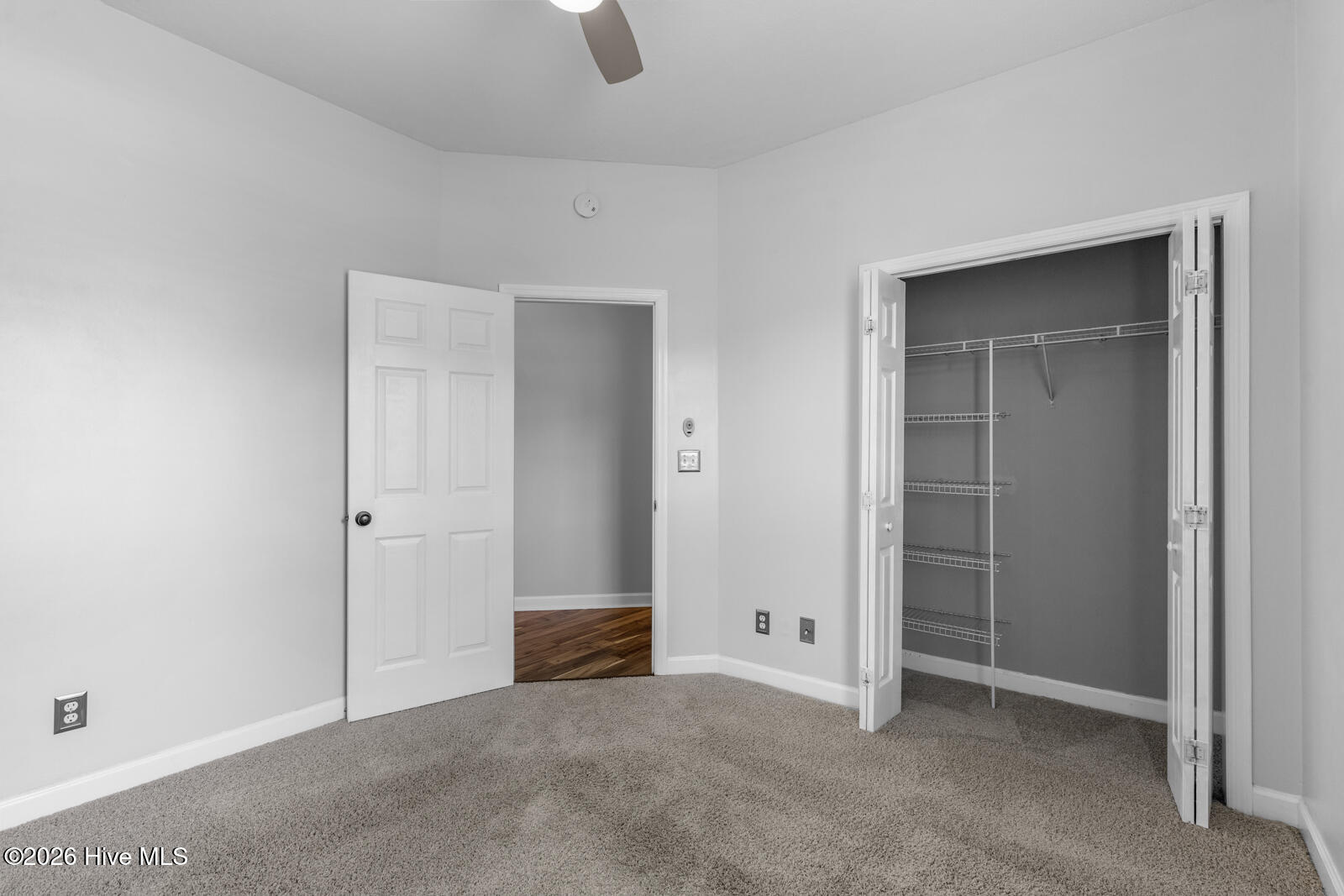 100563110 | Photo 35