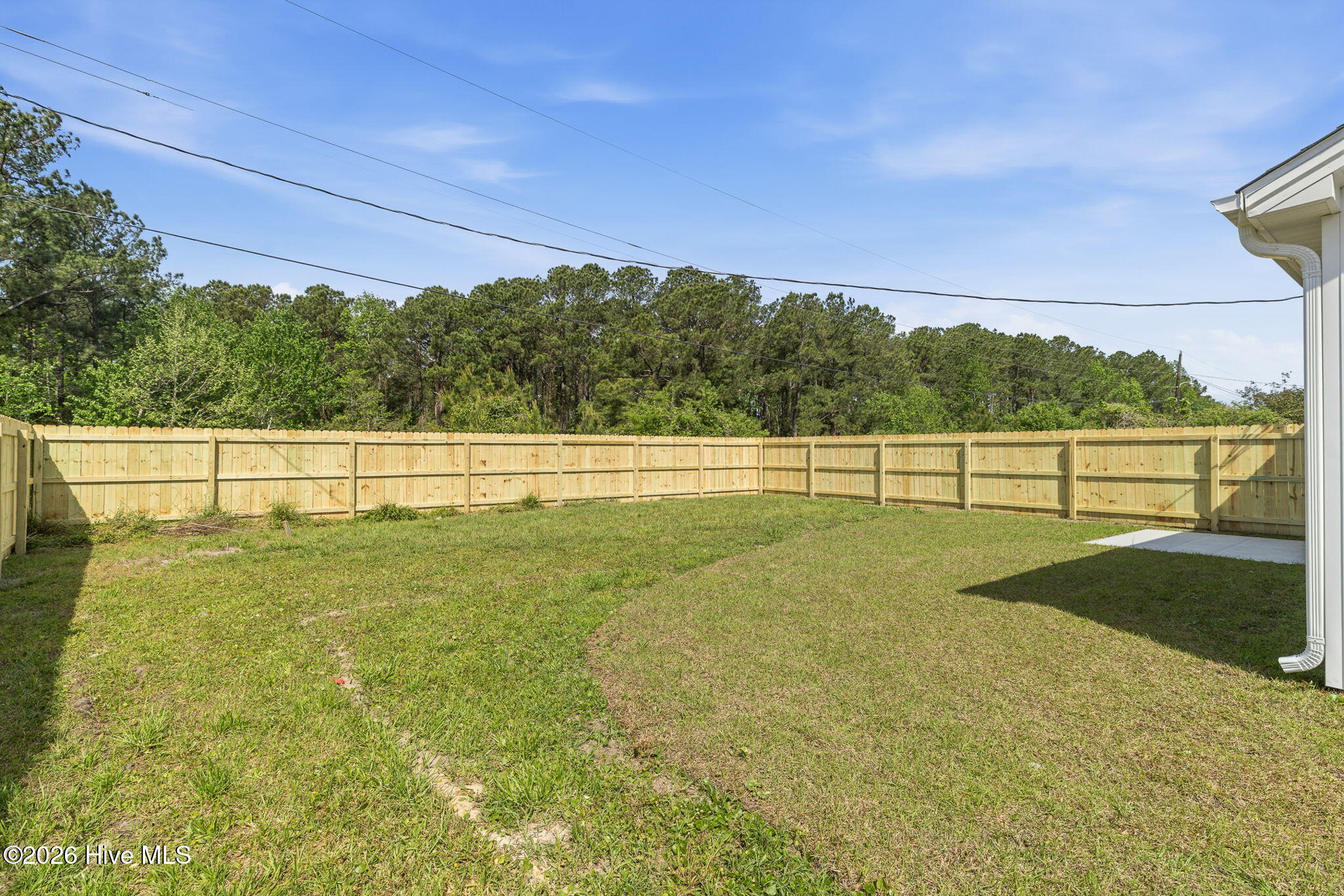 100562147 | Photo 57