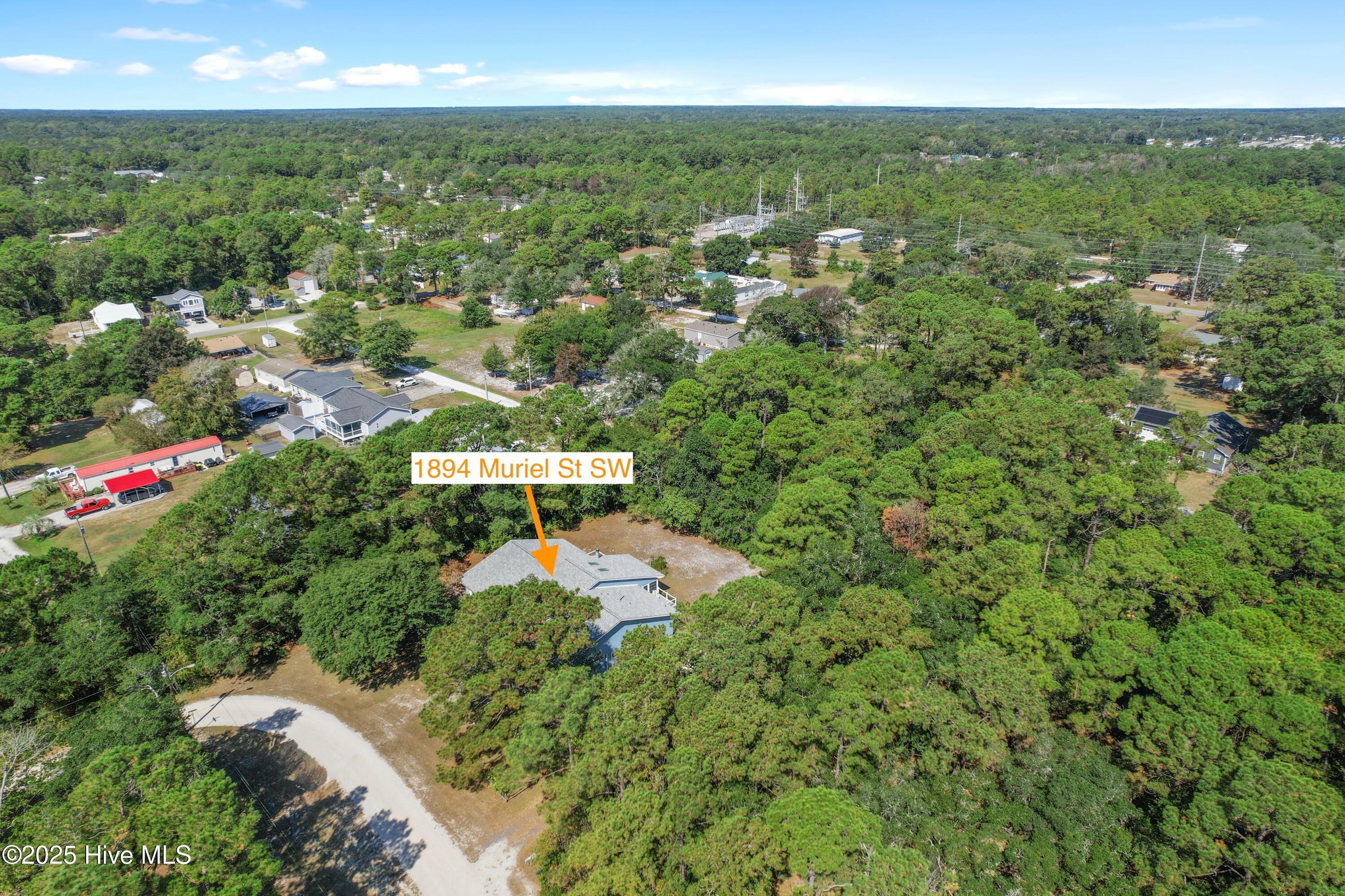 100533822 | Photo 59