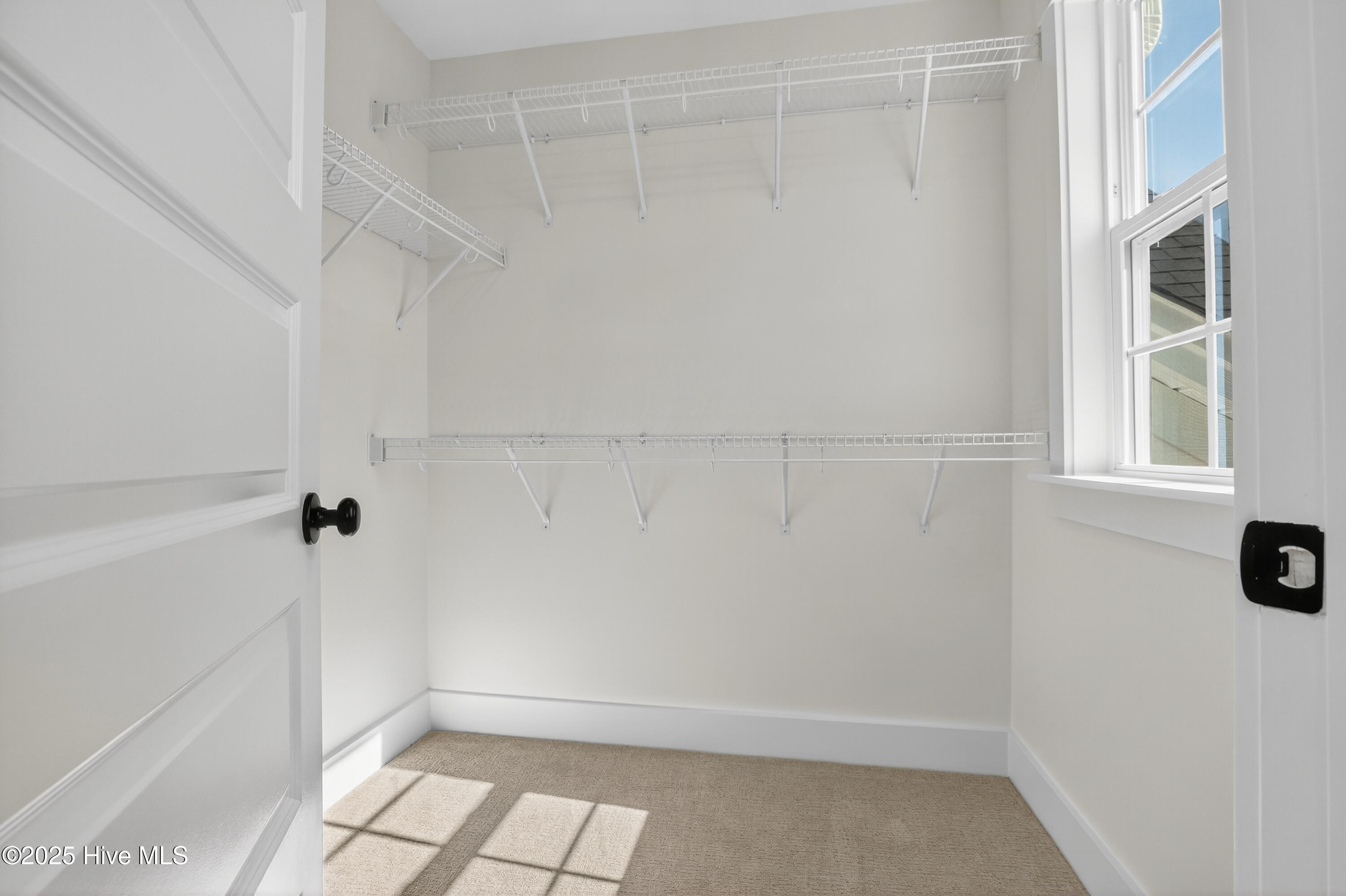 100553906 | Photo 13