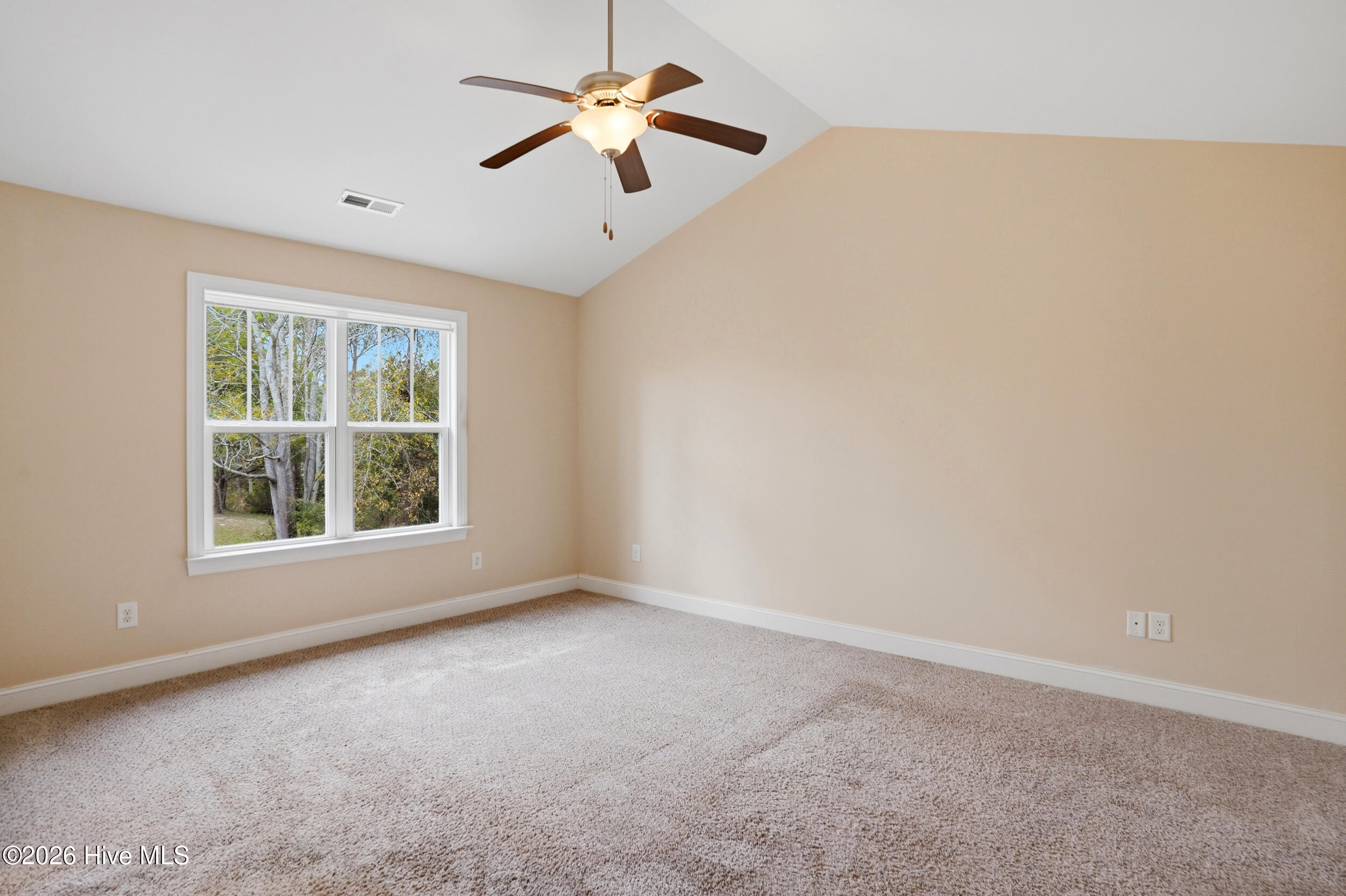 100564598 | Photo 16