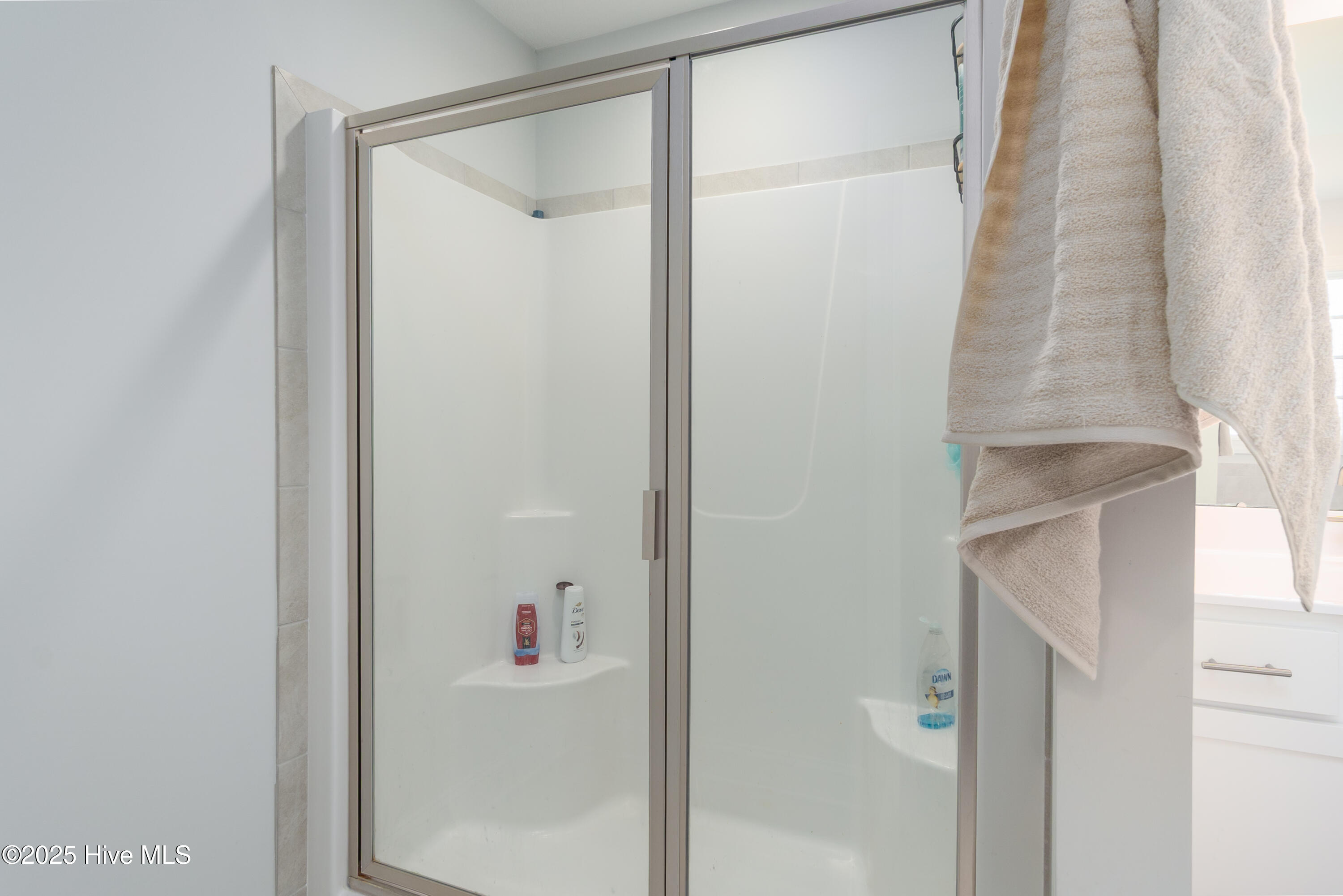 100502519 | Photo 24