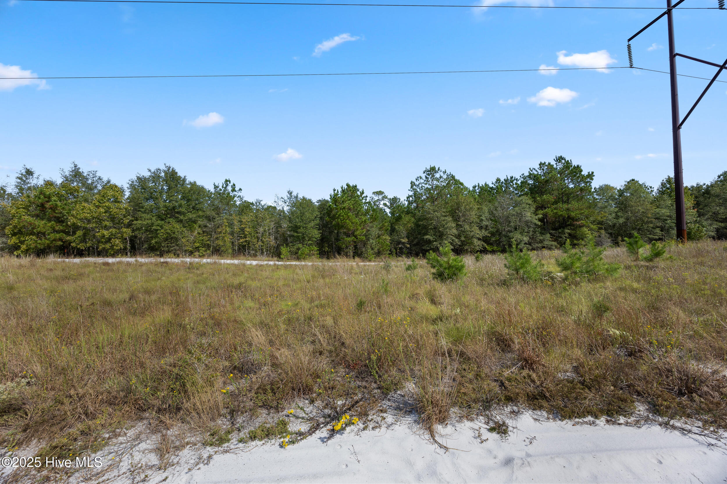 100536371 | Photo 24