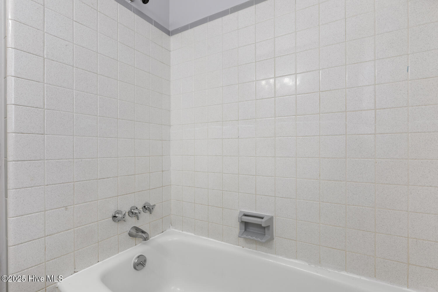 100534316 | Photo 29