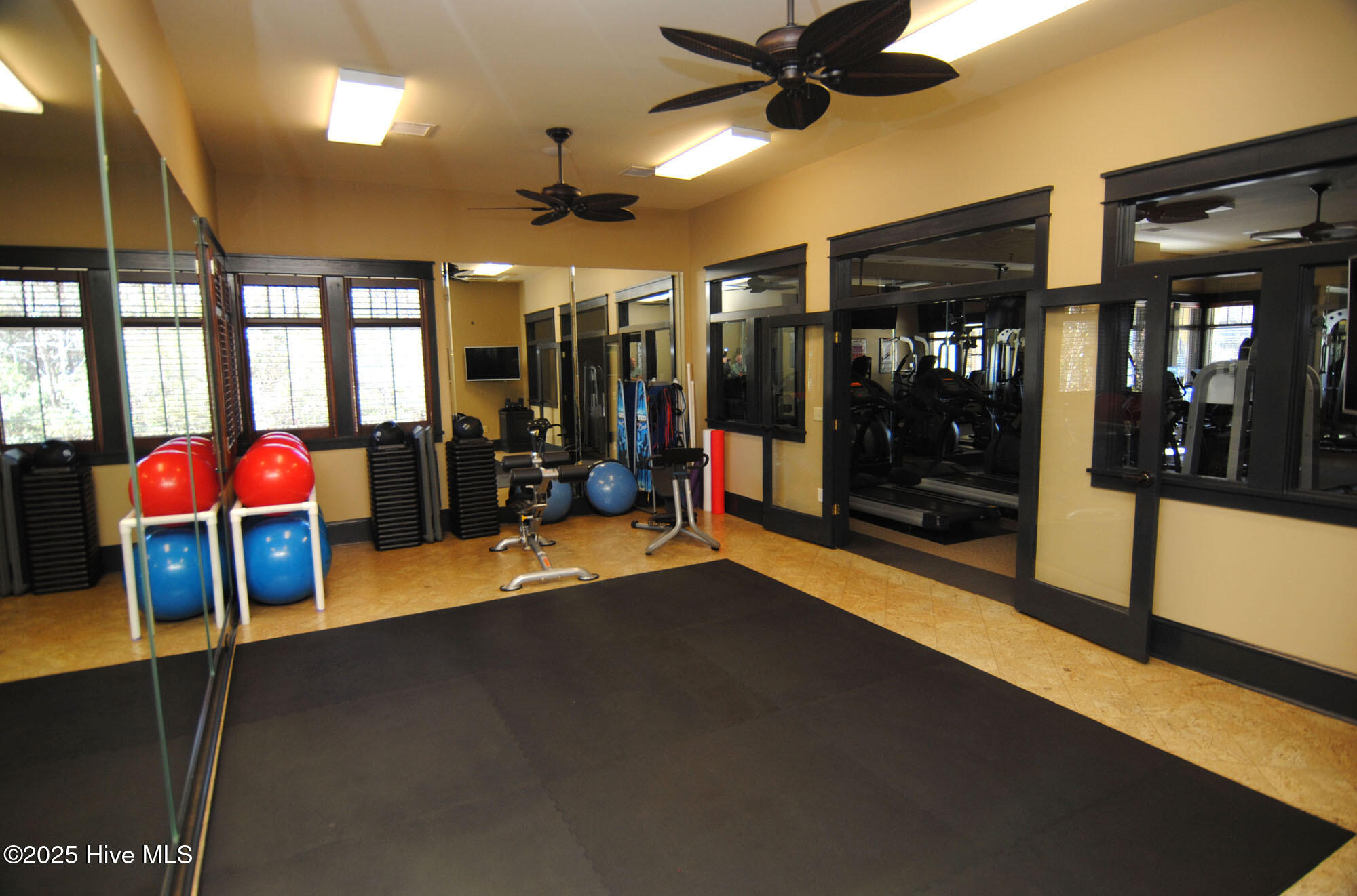 100536723 | Photo 56