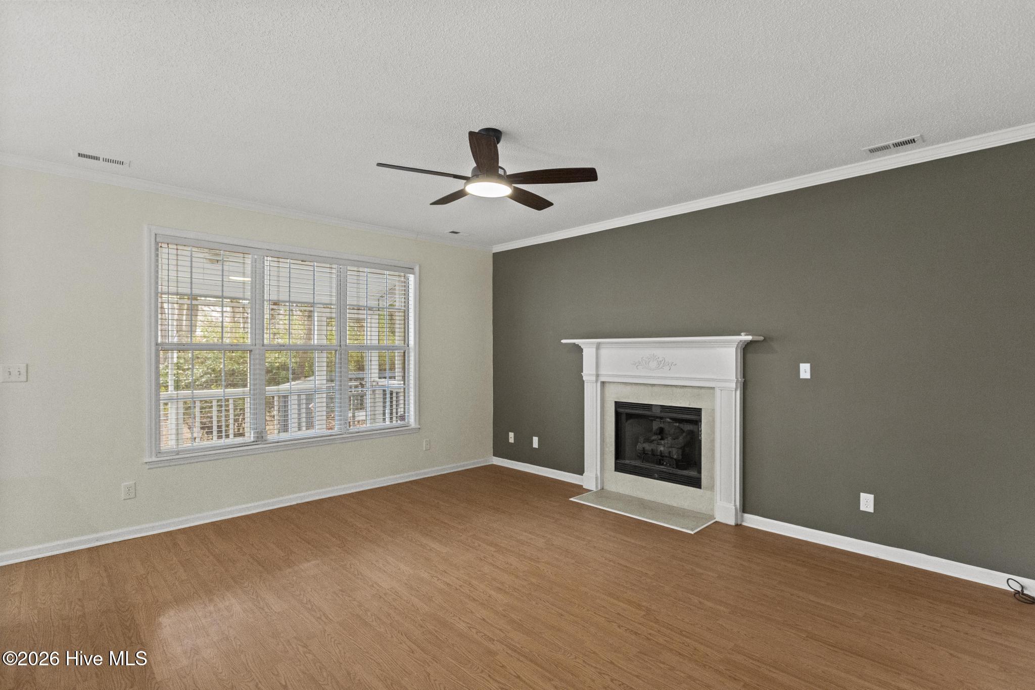 100548531 | Photo 16