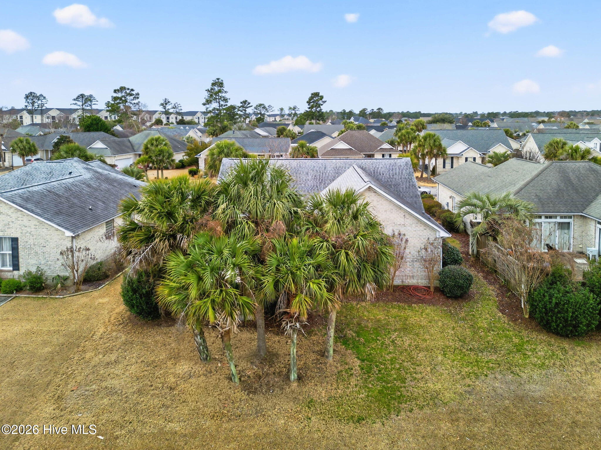 100556001 | Photo 32