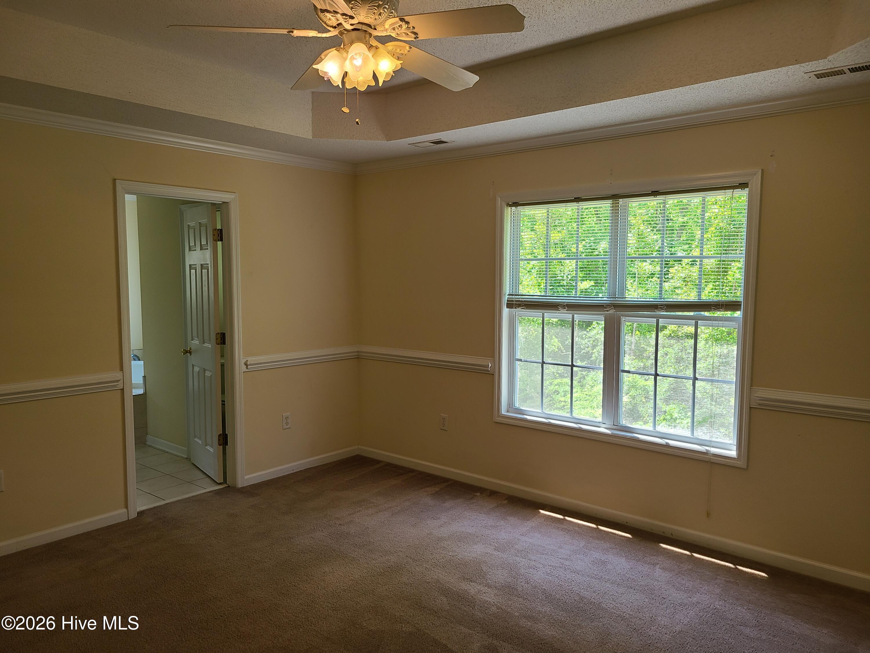 100548232 | Photo 10