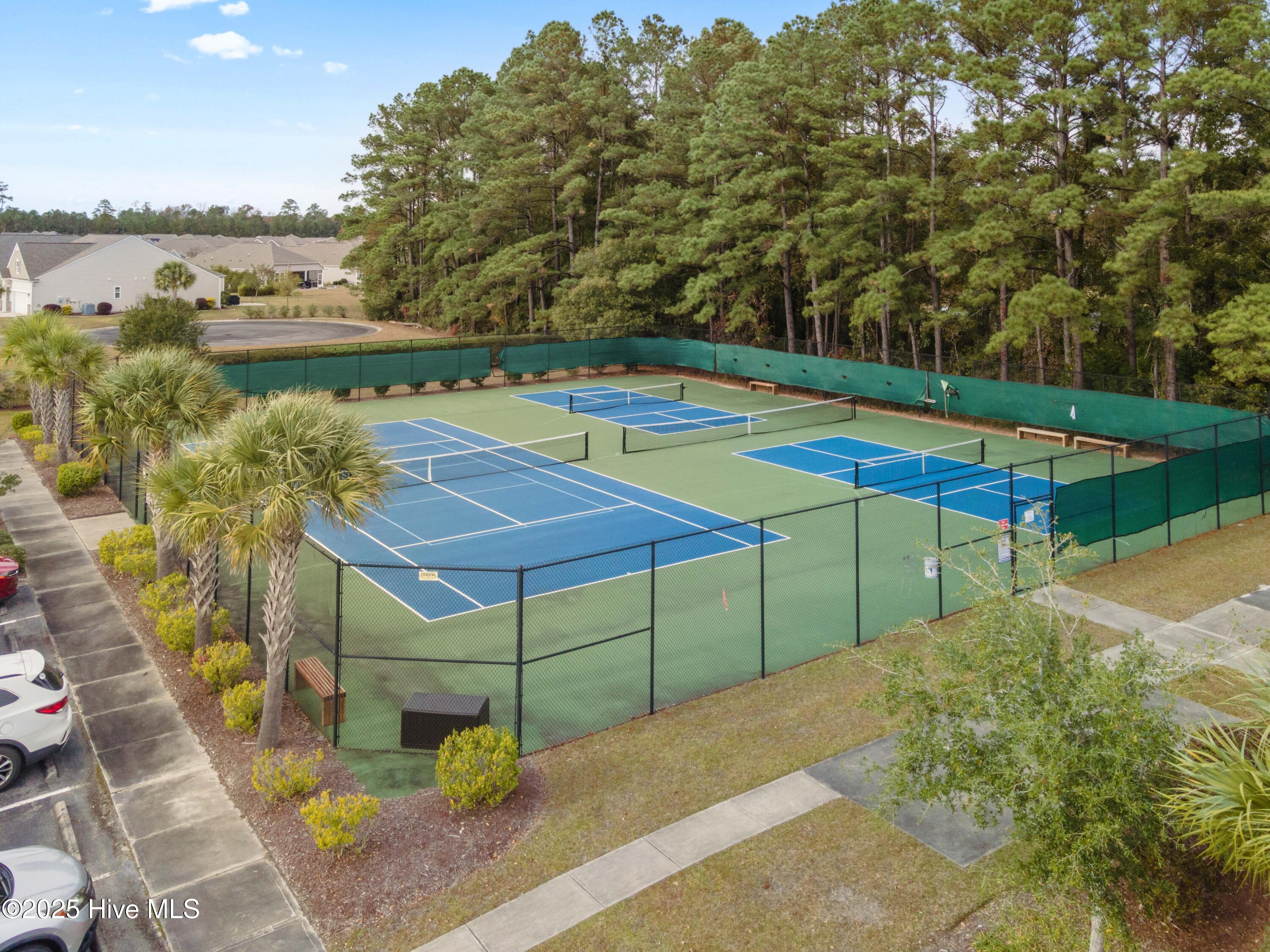 100541671 | Photo 64