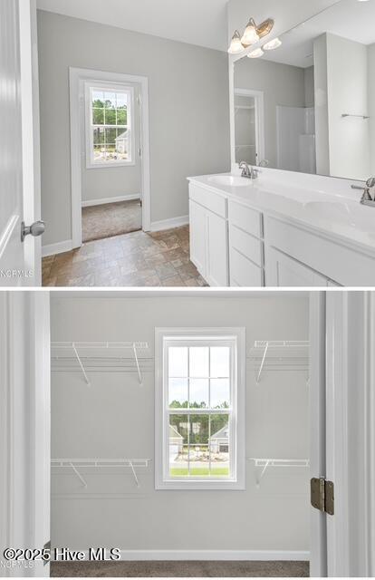 100537819 | Photo 15