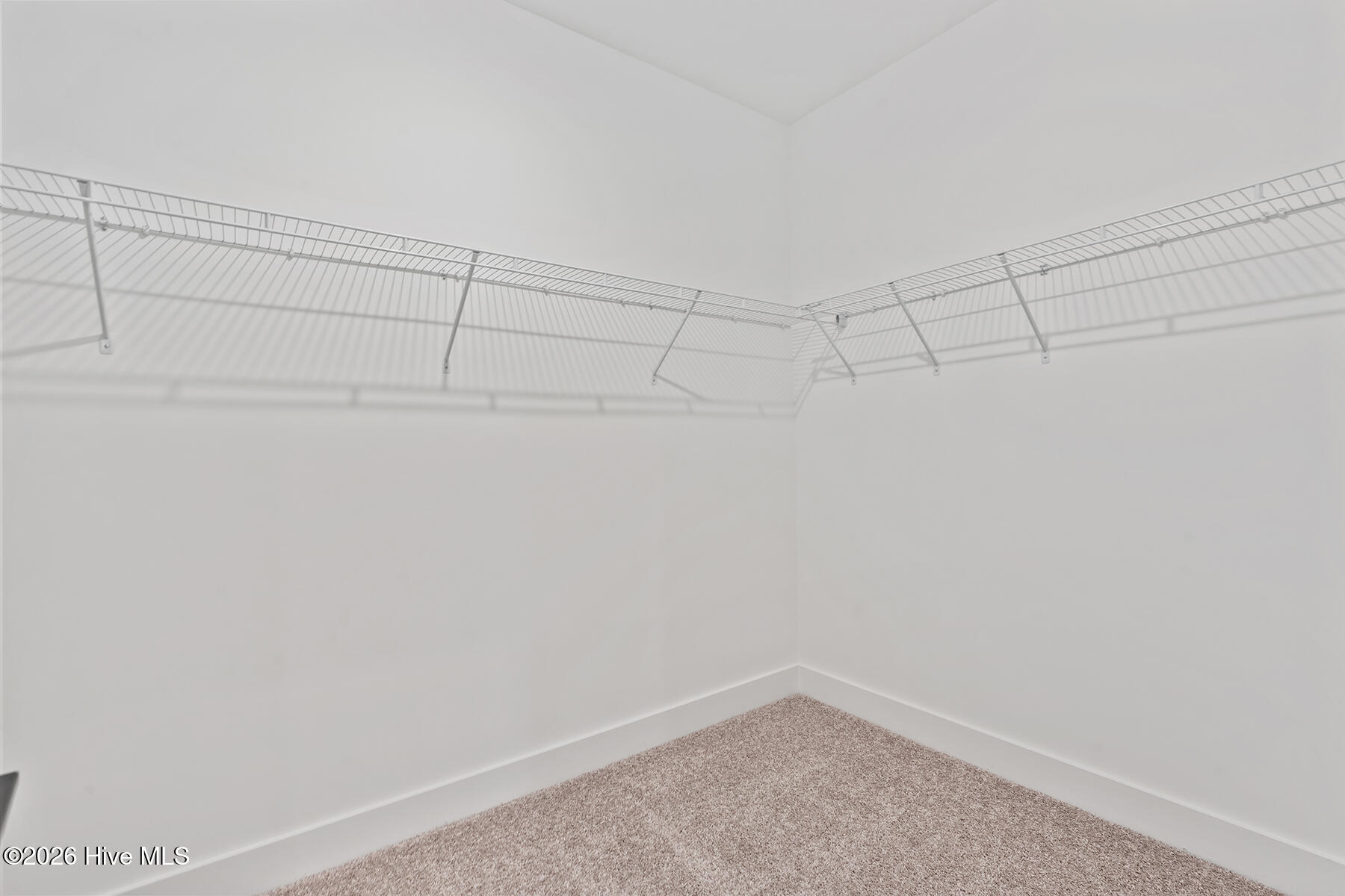 100570170 | Photo 13