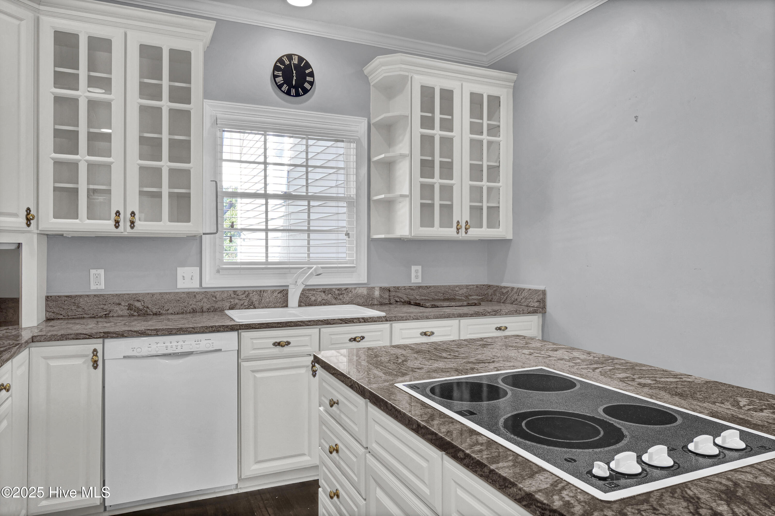 100556880 | Photo 16