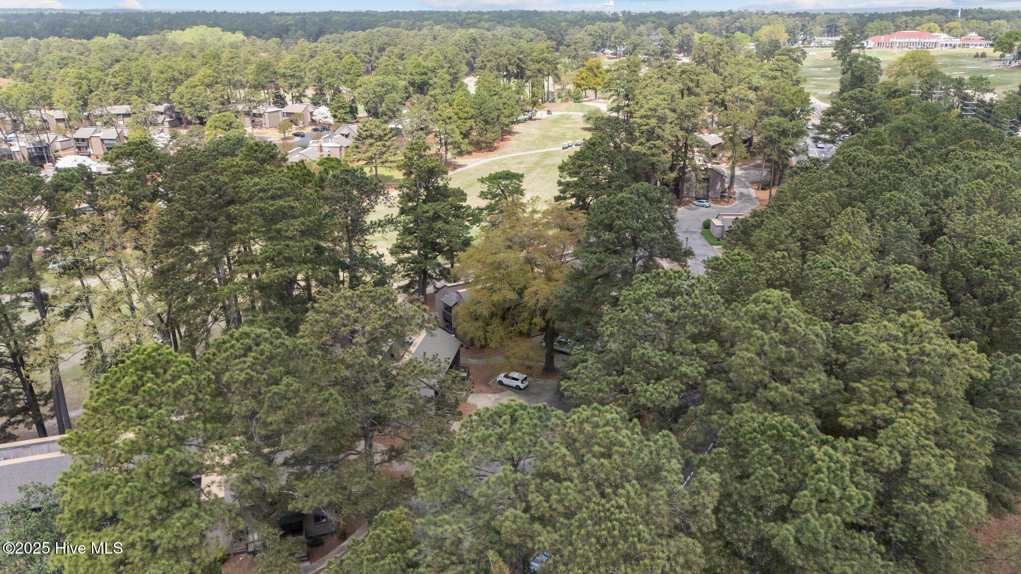 5 Pine Tree Road 211