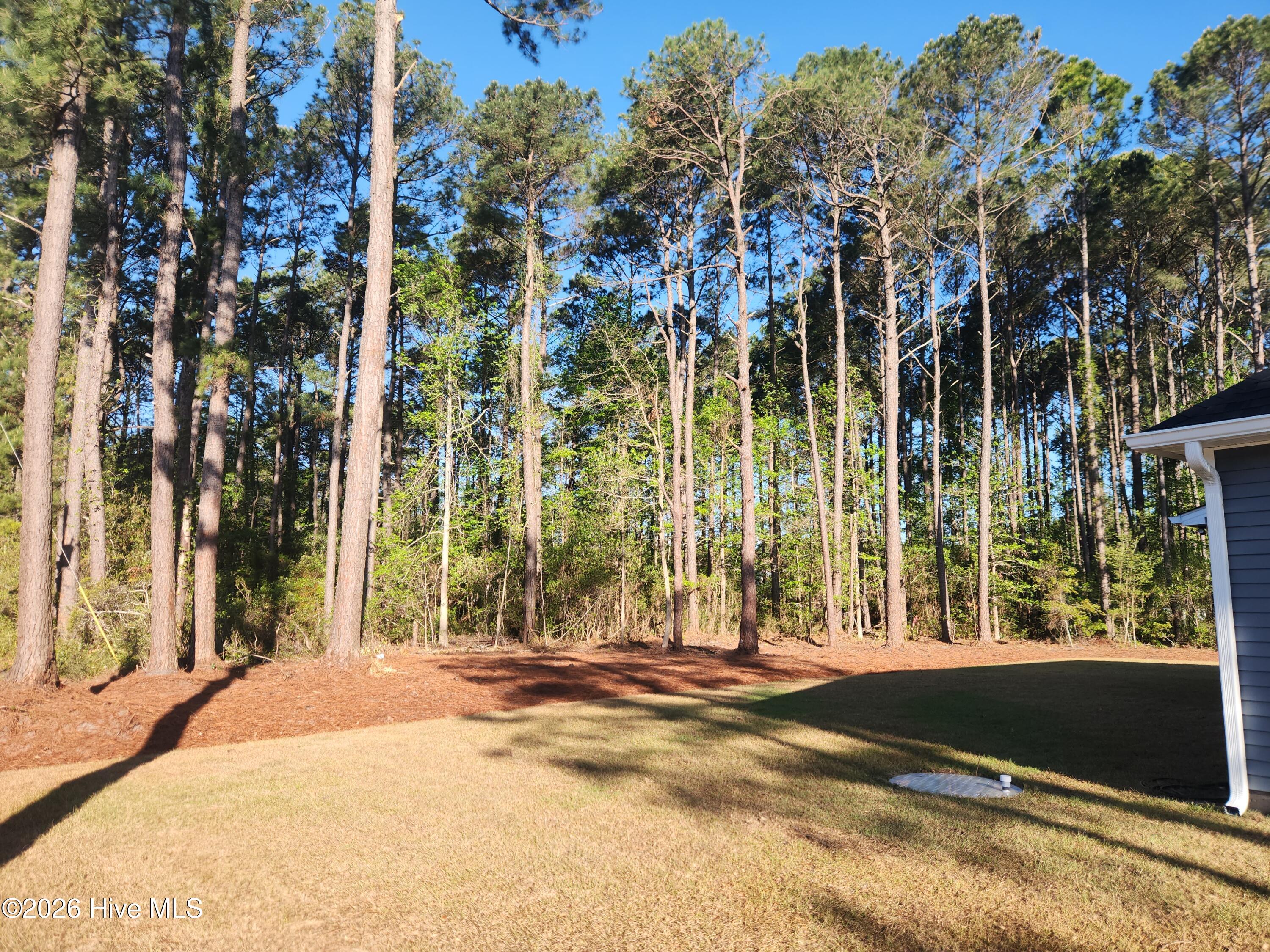 100566196 | Photo 54