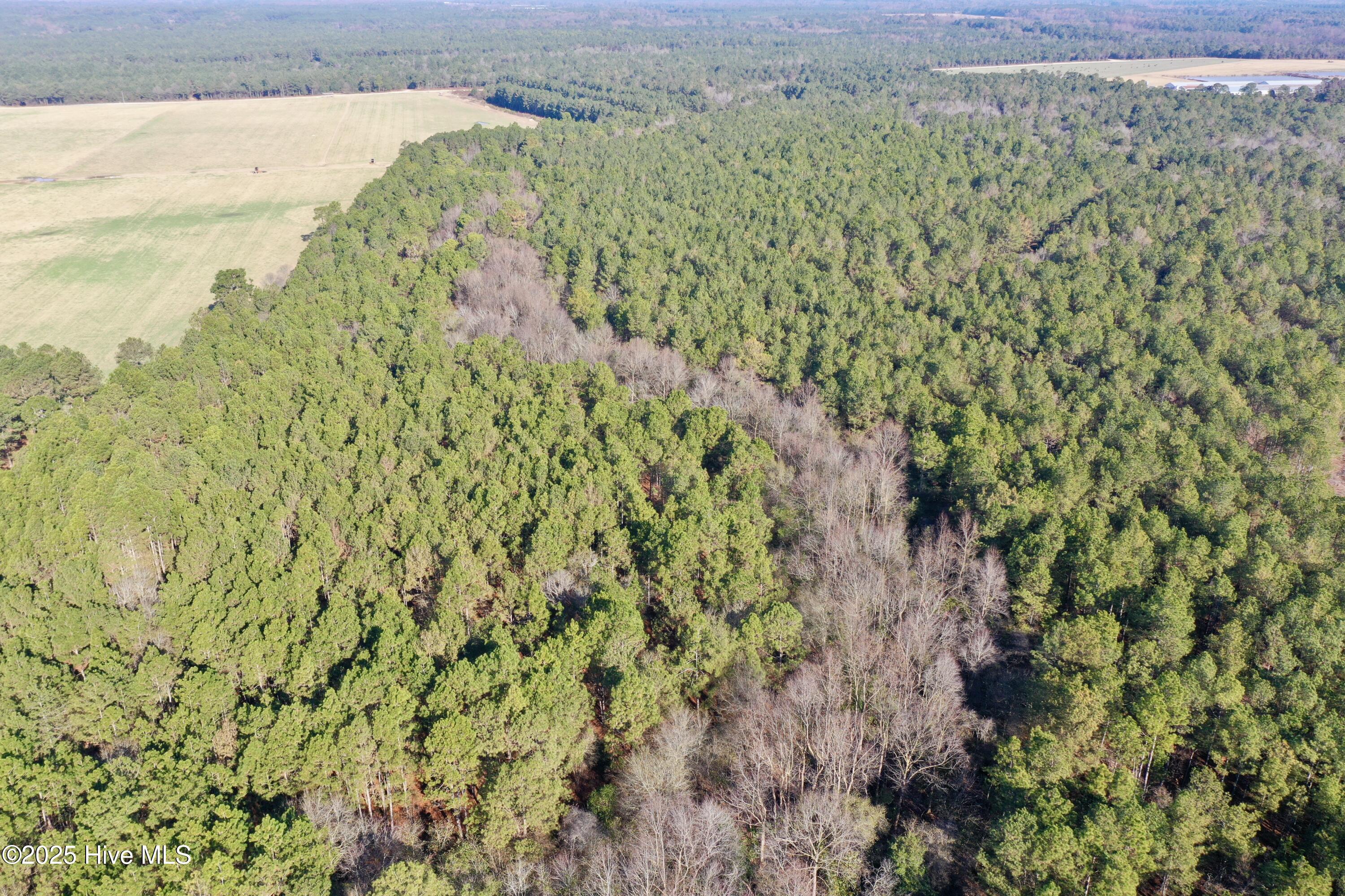 Homes for sale in Roseboro, NC | Tbd Moon Johnson Rd, Roseboro, NC 28382 | MLS# 100546831