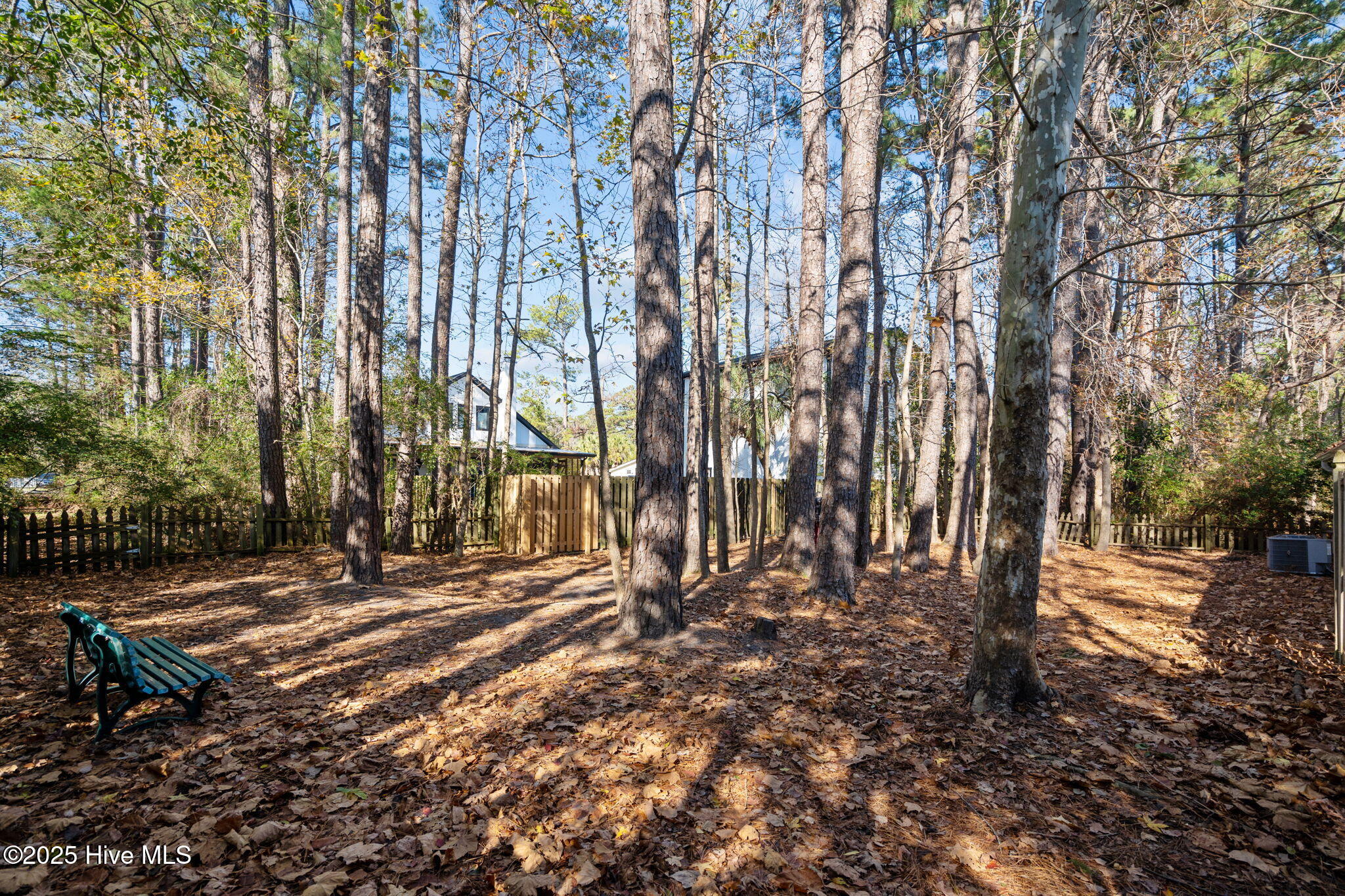 100546040 | Photo 42