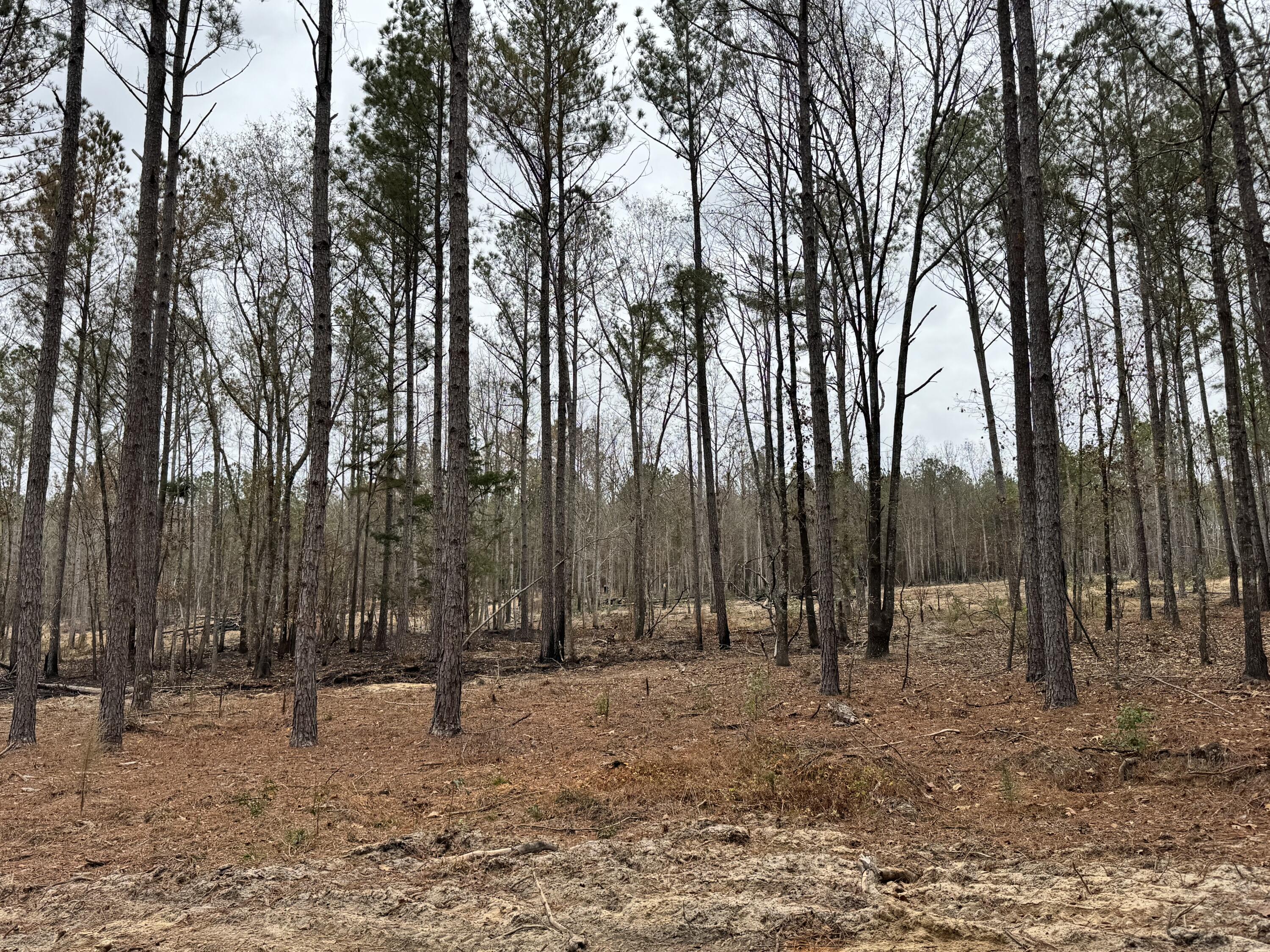 Homes for sale in Gibson, GA | 0 Bastonville Rd, Gibson, GA 30810 | MLS# 548327