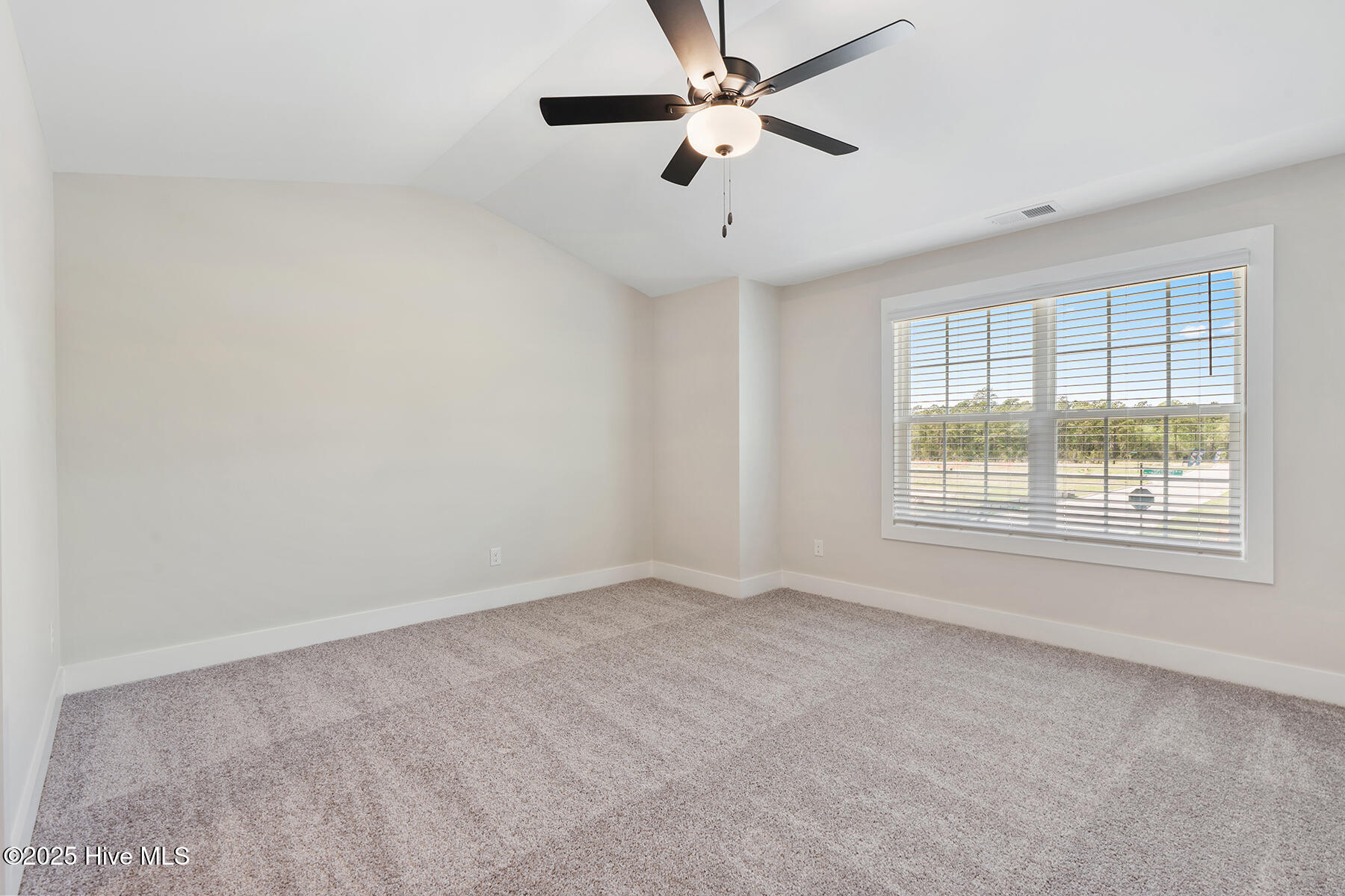 113 Umbrella Palm Drive, Hampstead, NC, 28443