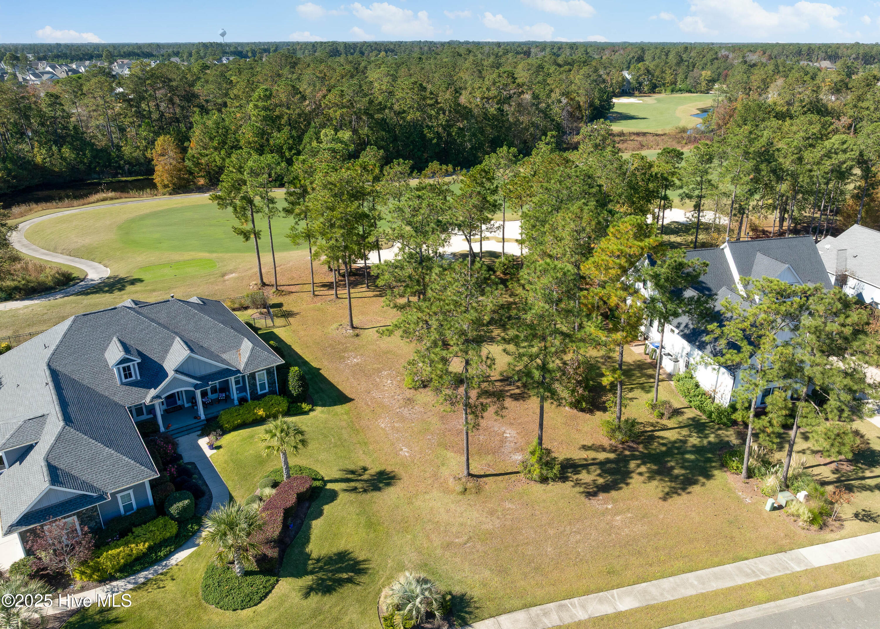 100539491 | Photo 15