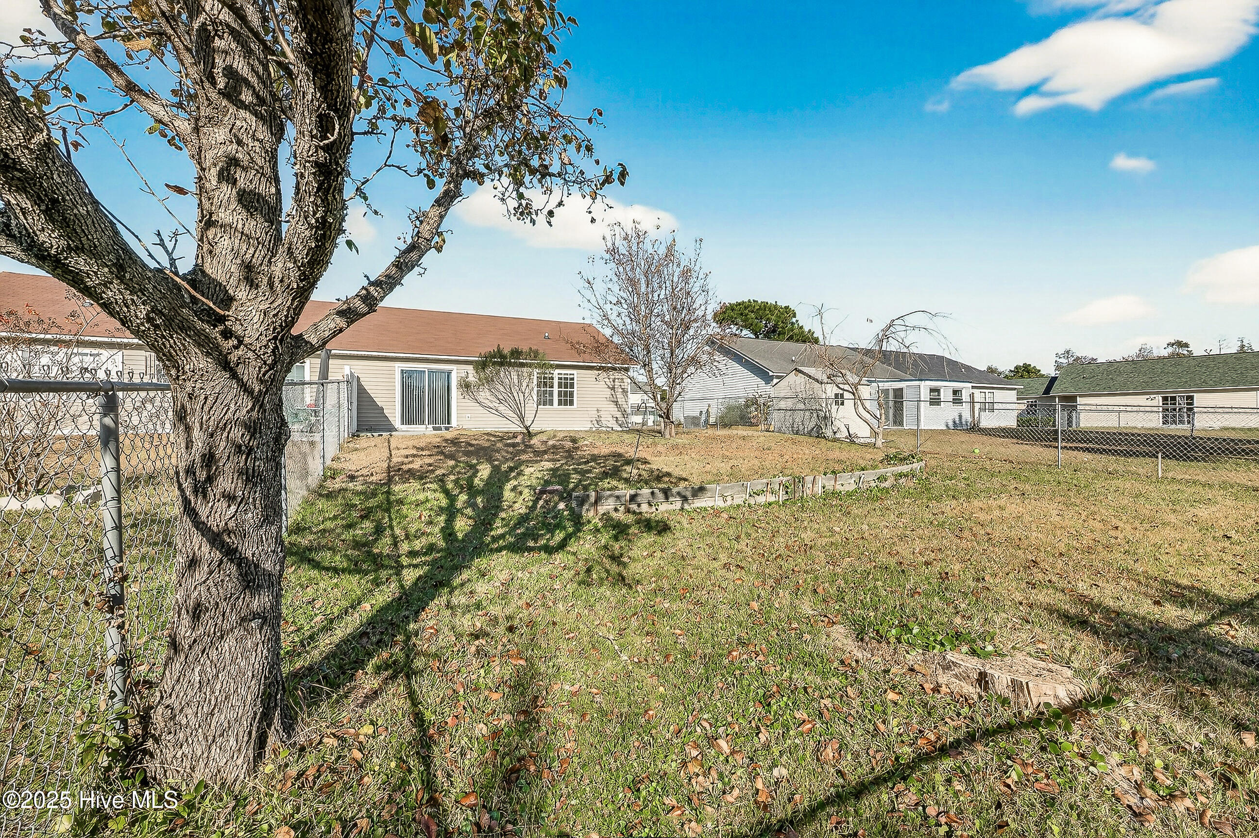 100543652 | Photo 25