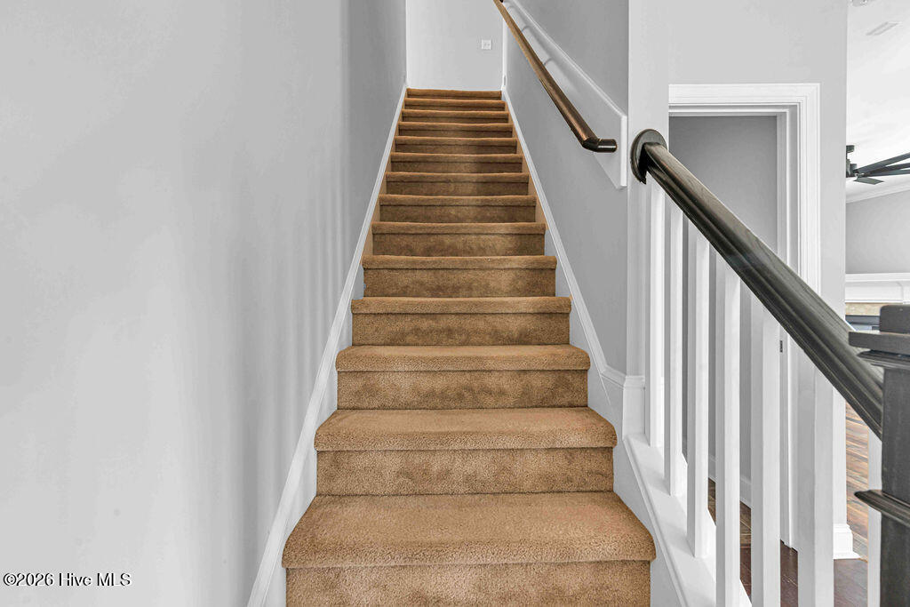 100566464 | Photo 24