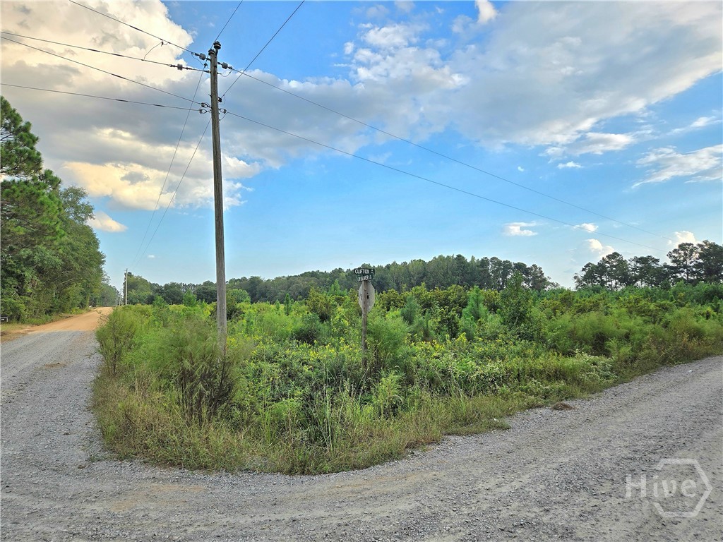 Homes for sale in Statesboro, GA | 0 G W Oliver Rd, Statesboro, GA 30458 | MLS# SA340501