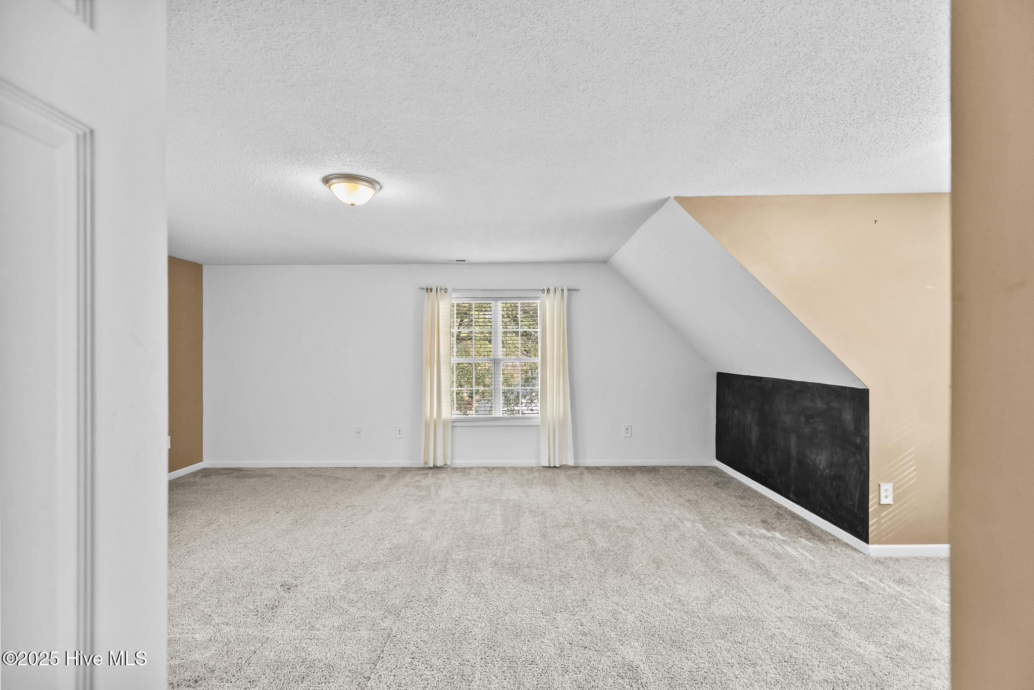 100546183 | Photo 48