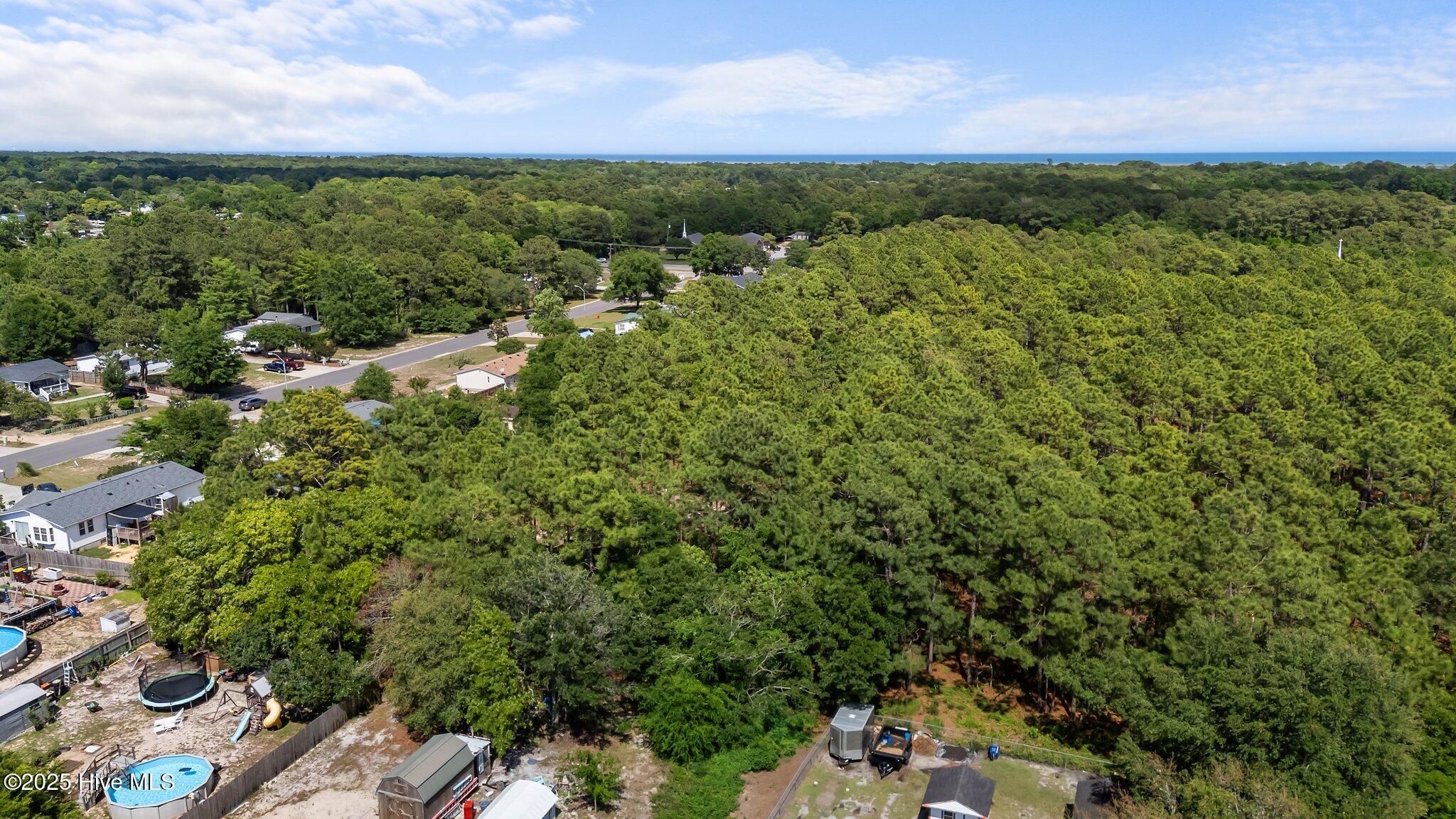 100507635 | Photo 17