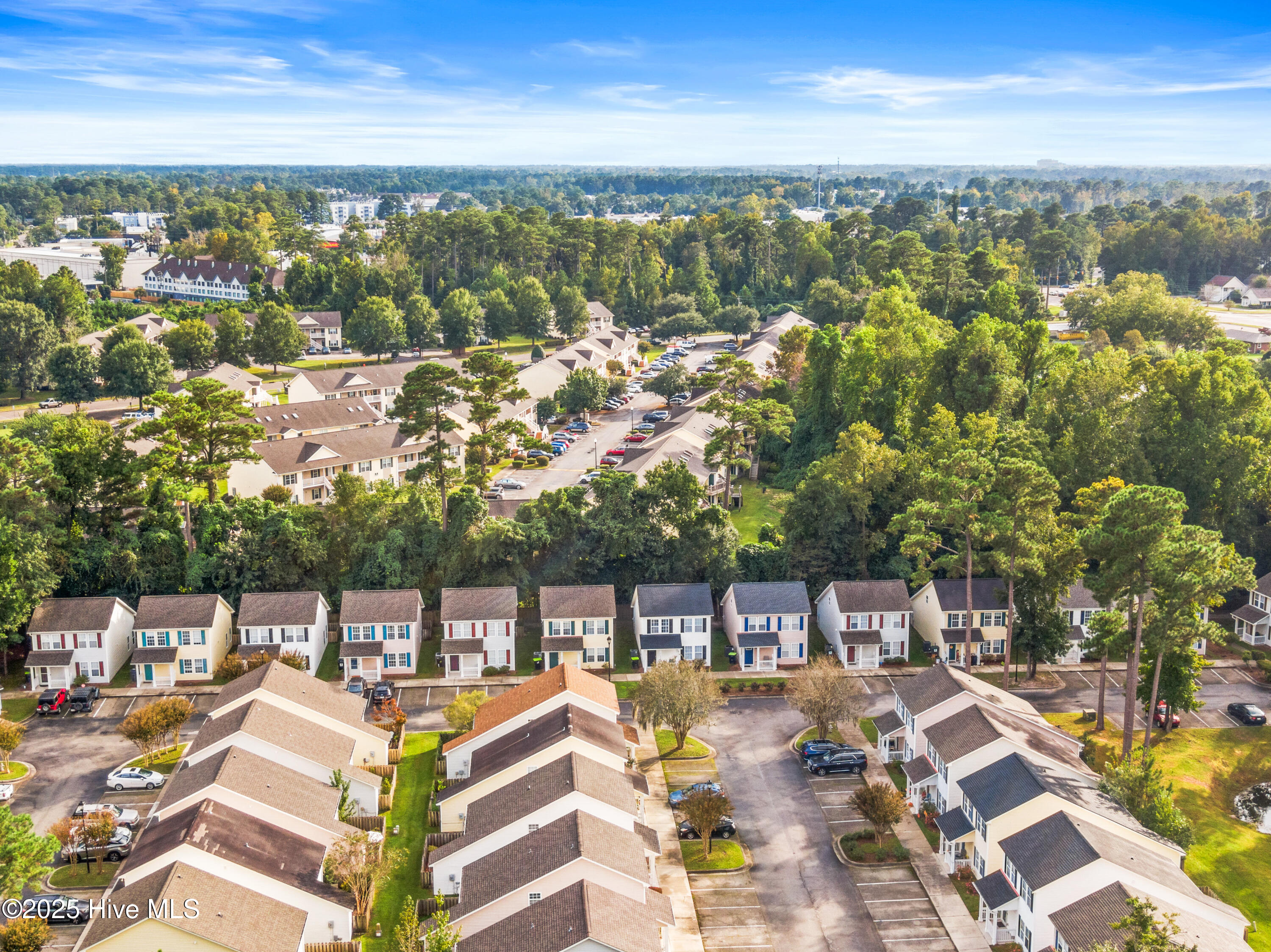 100535328 | Photo 39