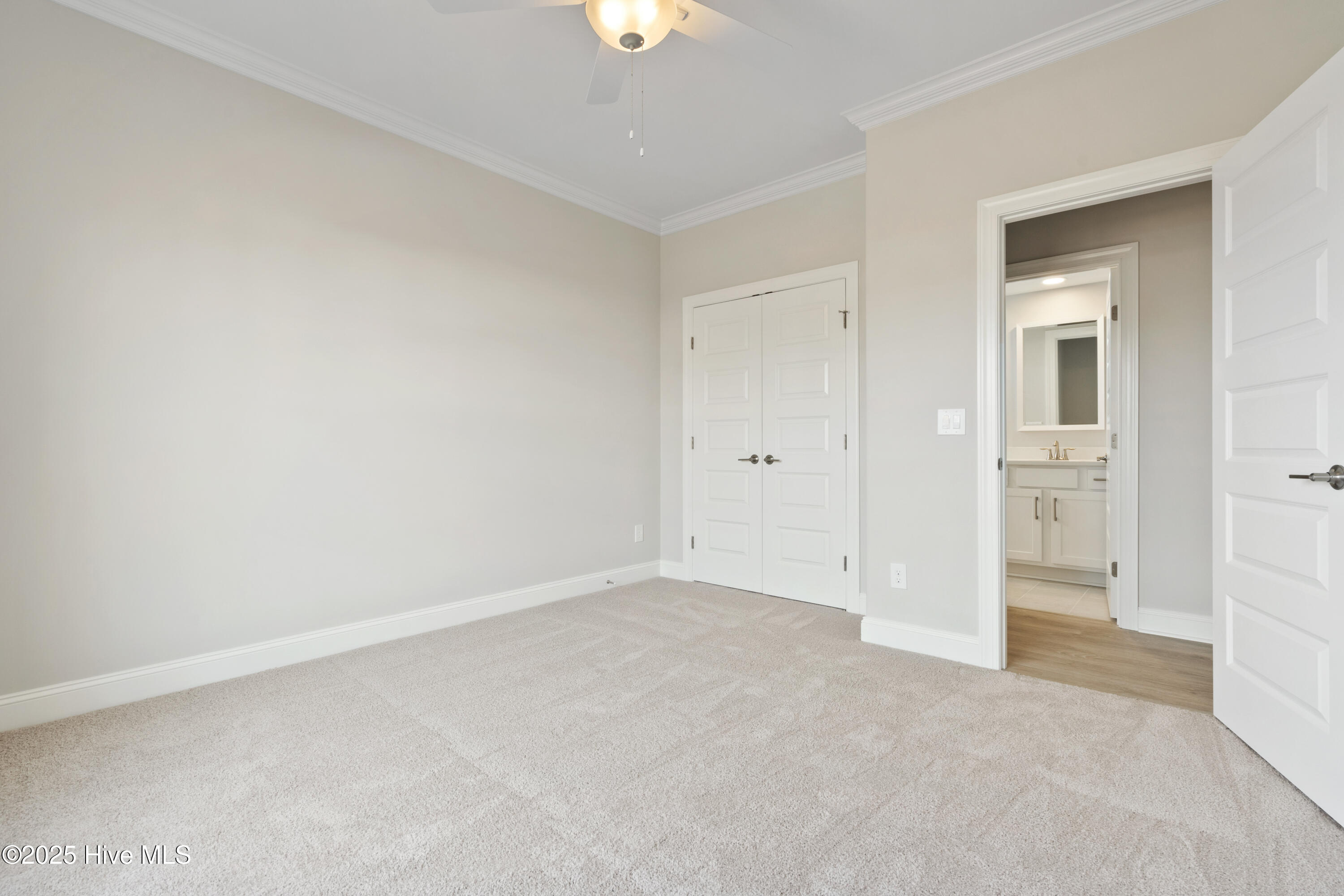 100526979 | Photo 15