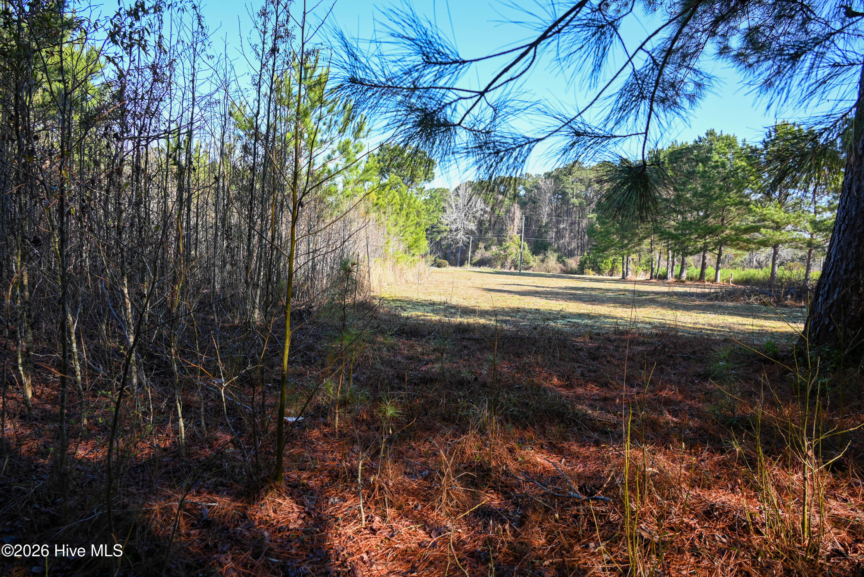 100560038 | Photo 27