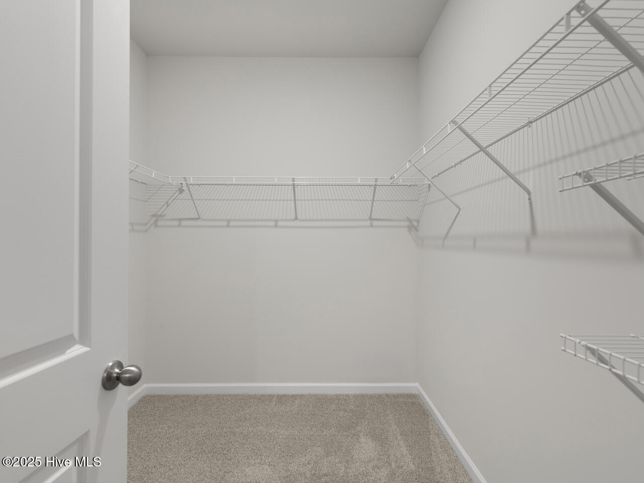 100563852 | Photo 19