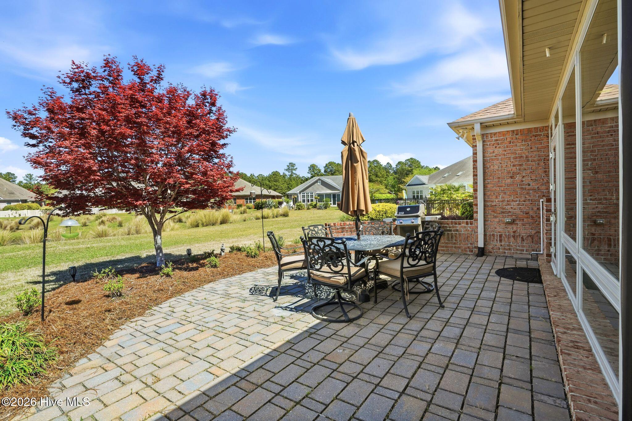 100565235 | Photo 63