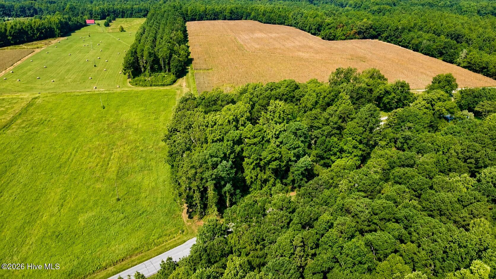 Exterior photo of 0 Swamp Fox Highway W, Cerro Gordo, NC 28430. MLS: 100598213