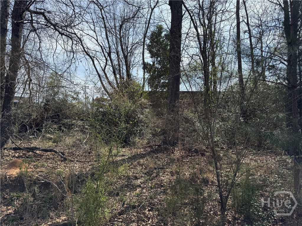 738 Old Mineral Springs Road, Elberton, GA, 30635